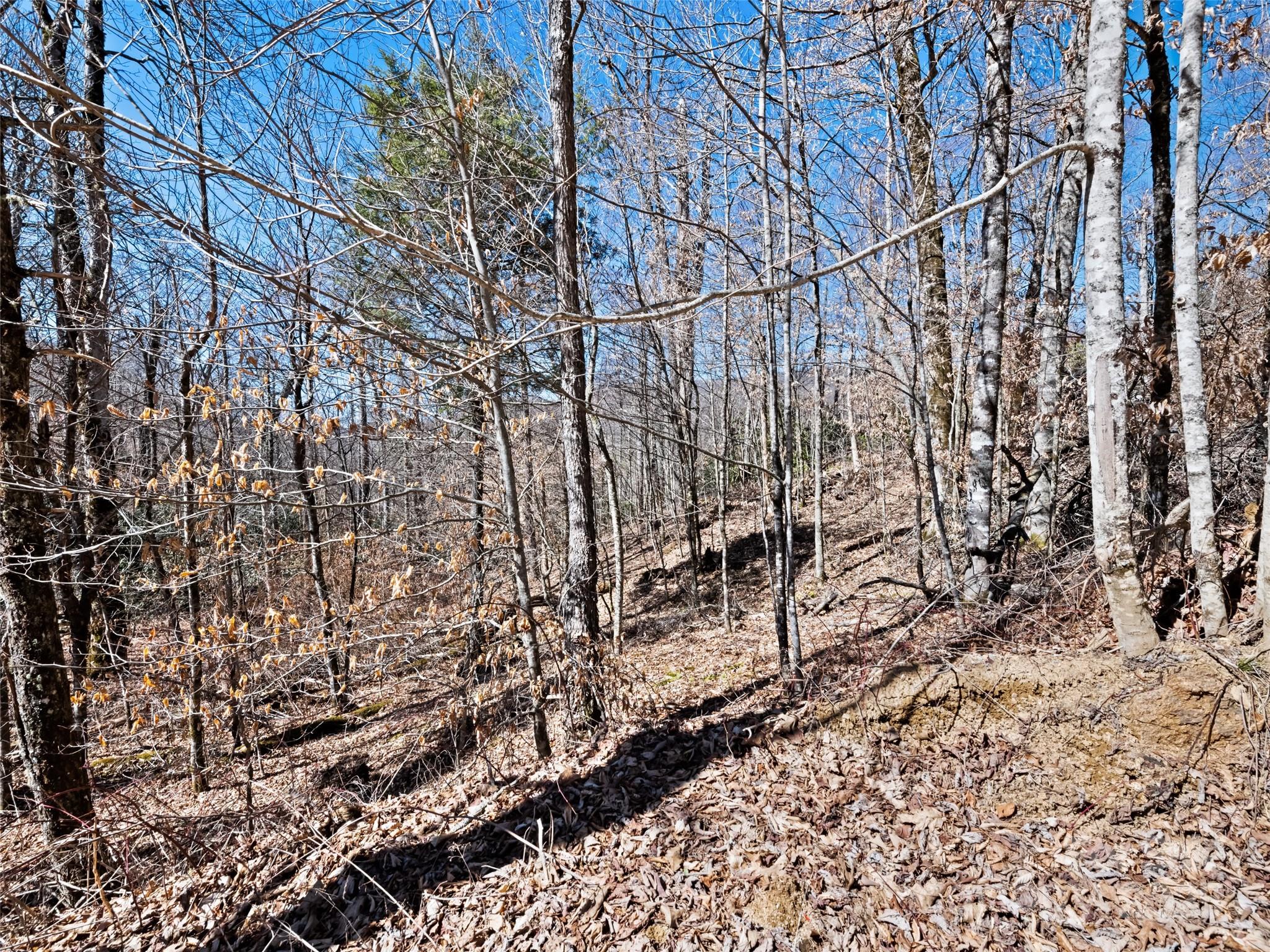 Cranberry Falls - Land