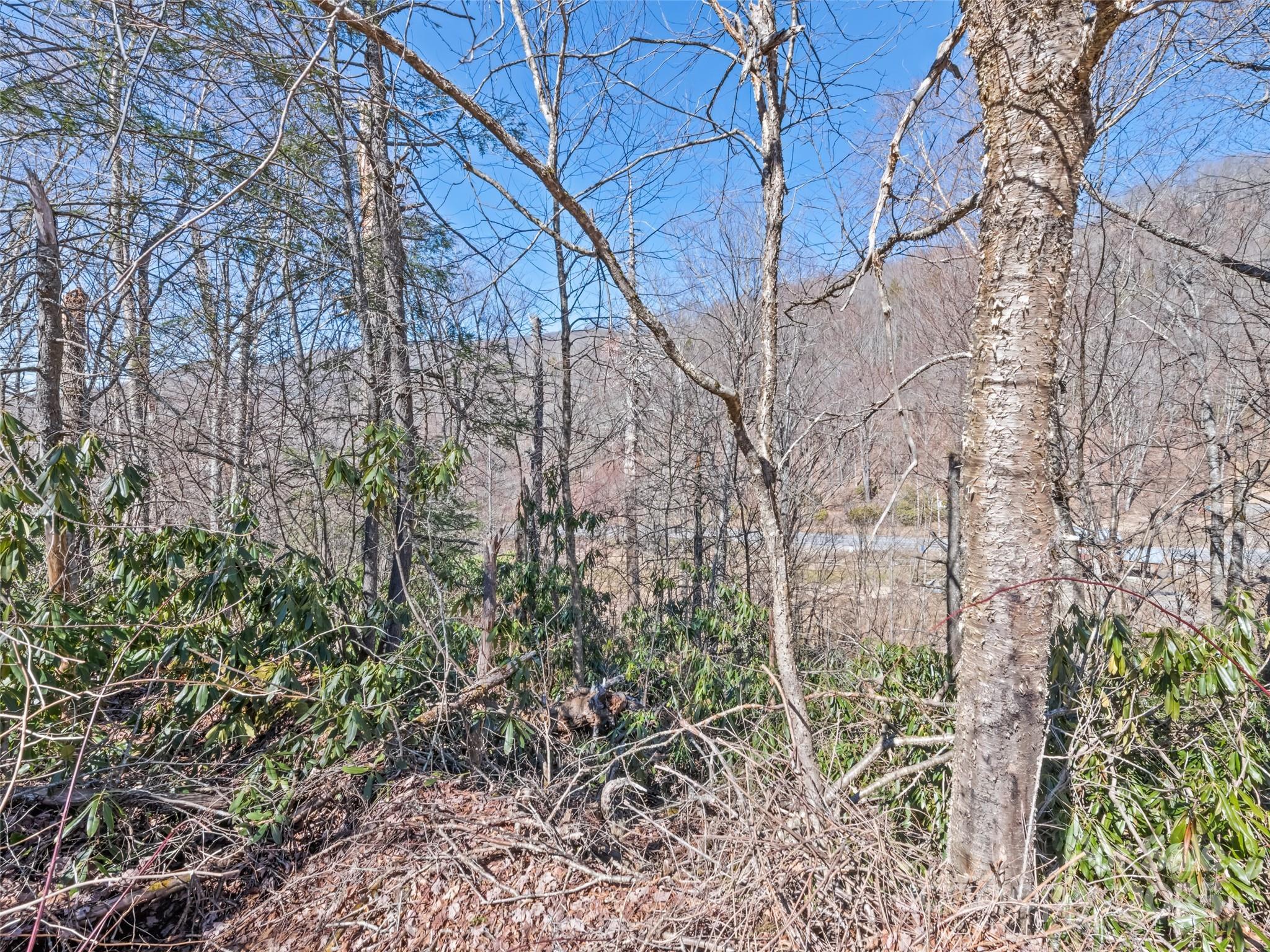 Cranberry Falls - Land