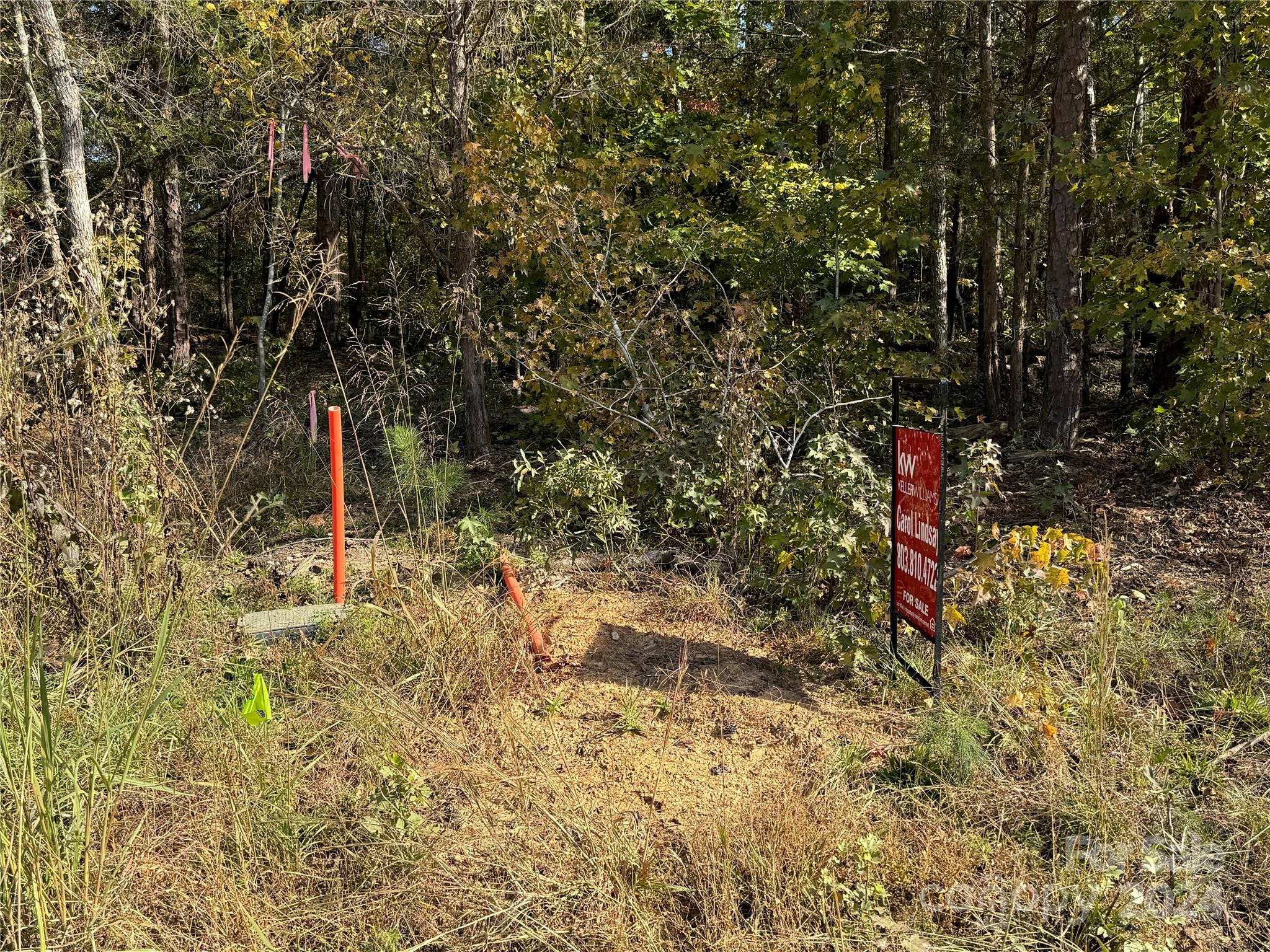 Looking for a land with No HOA this could be the One!!!  The lot has been perked and DHEC approved for 4 Bedroom septic system. The Property has deed restrictions and seller has approved site plans and will through in building plans if buyer has any interest. Located in Clover School District and minutes from Lake Wylie.