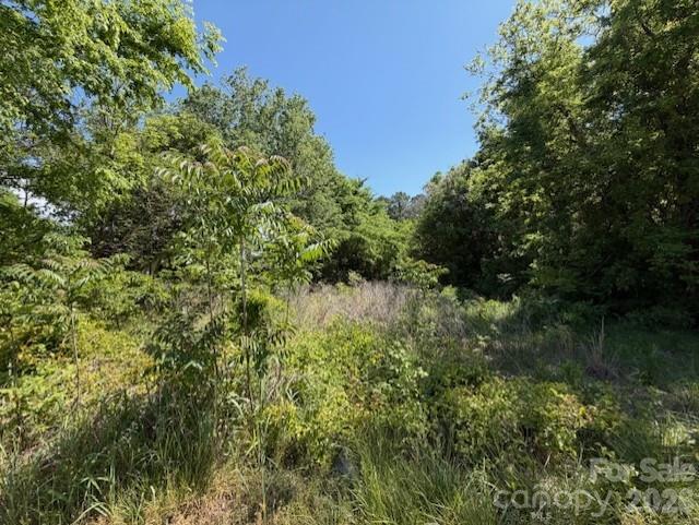 Endless possibilities await with this +/- .16 acre wooded parcel, offering a natural setting and the perfect place to design and create your vision from the ground up.