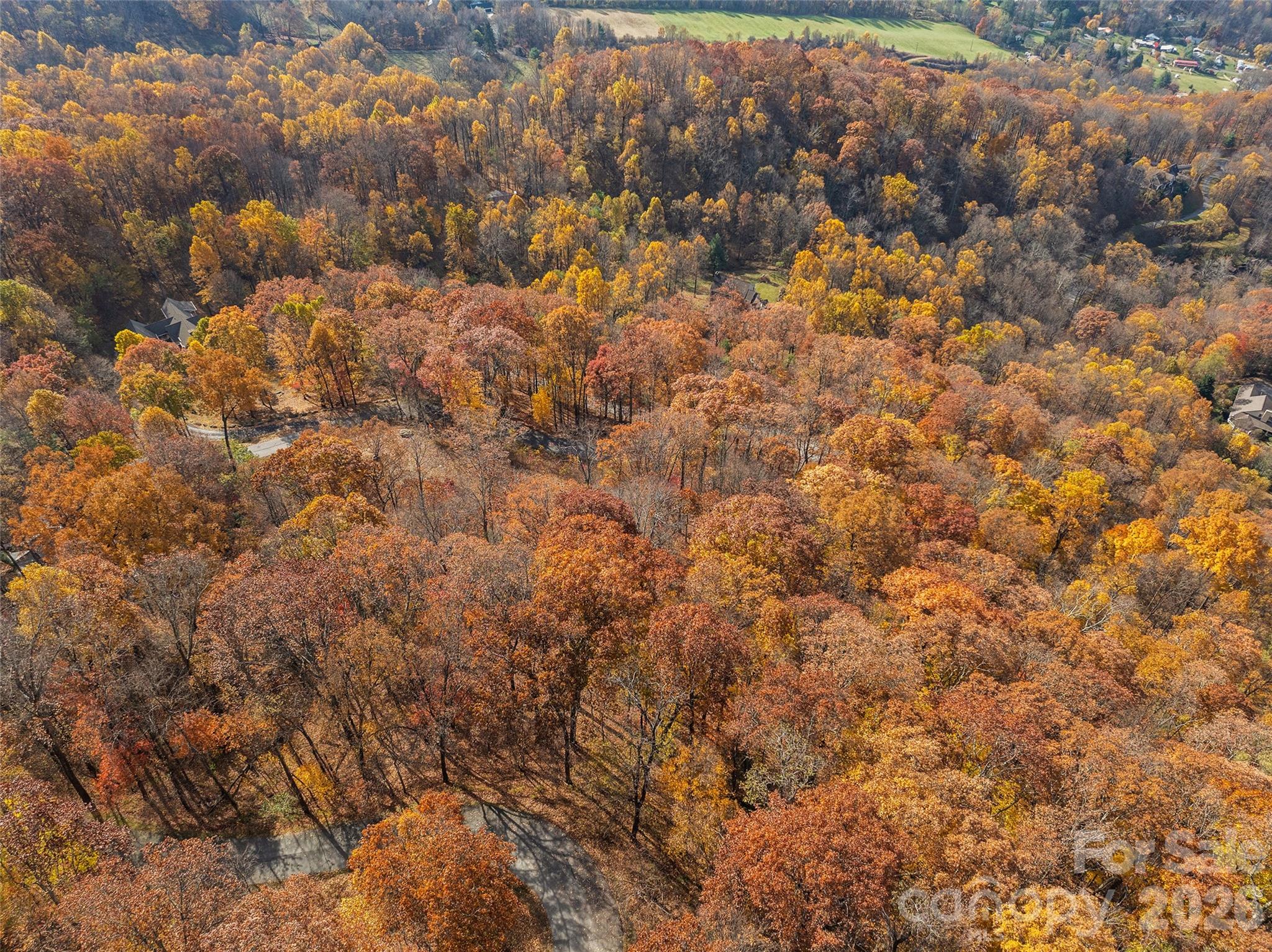 Smoky Mountain Sanctuary - Land