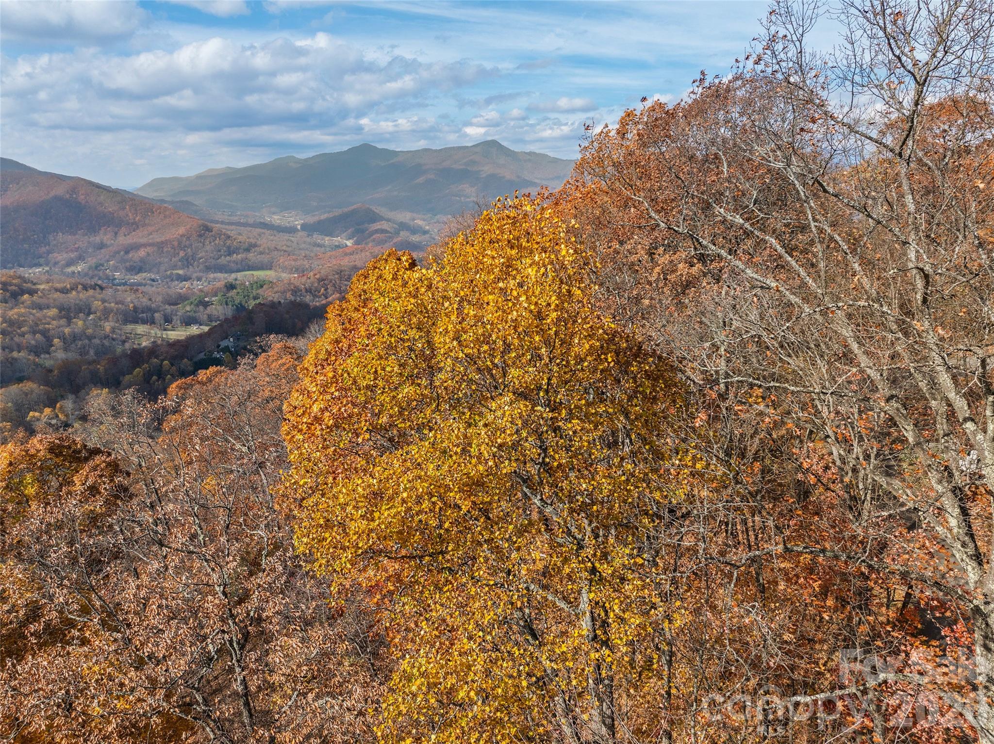 Smoky Mountain Sanctuary - Land