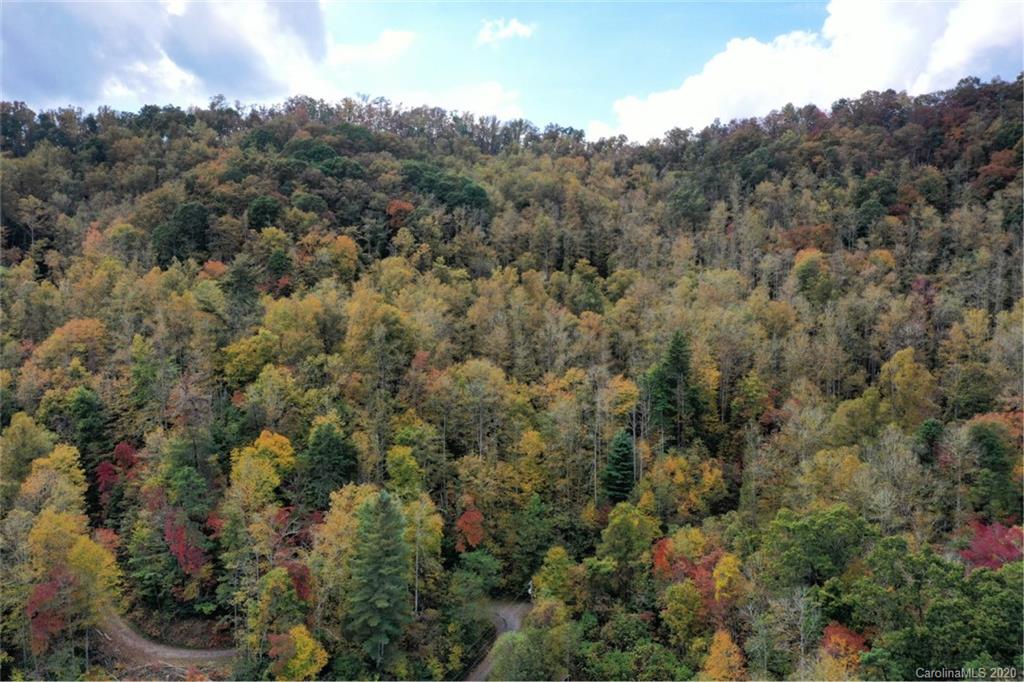 Mountain Forest Estates - Land