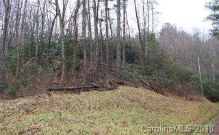 Mountain Forest Estates - Land