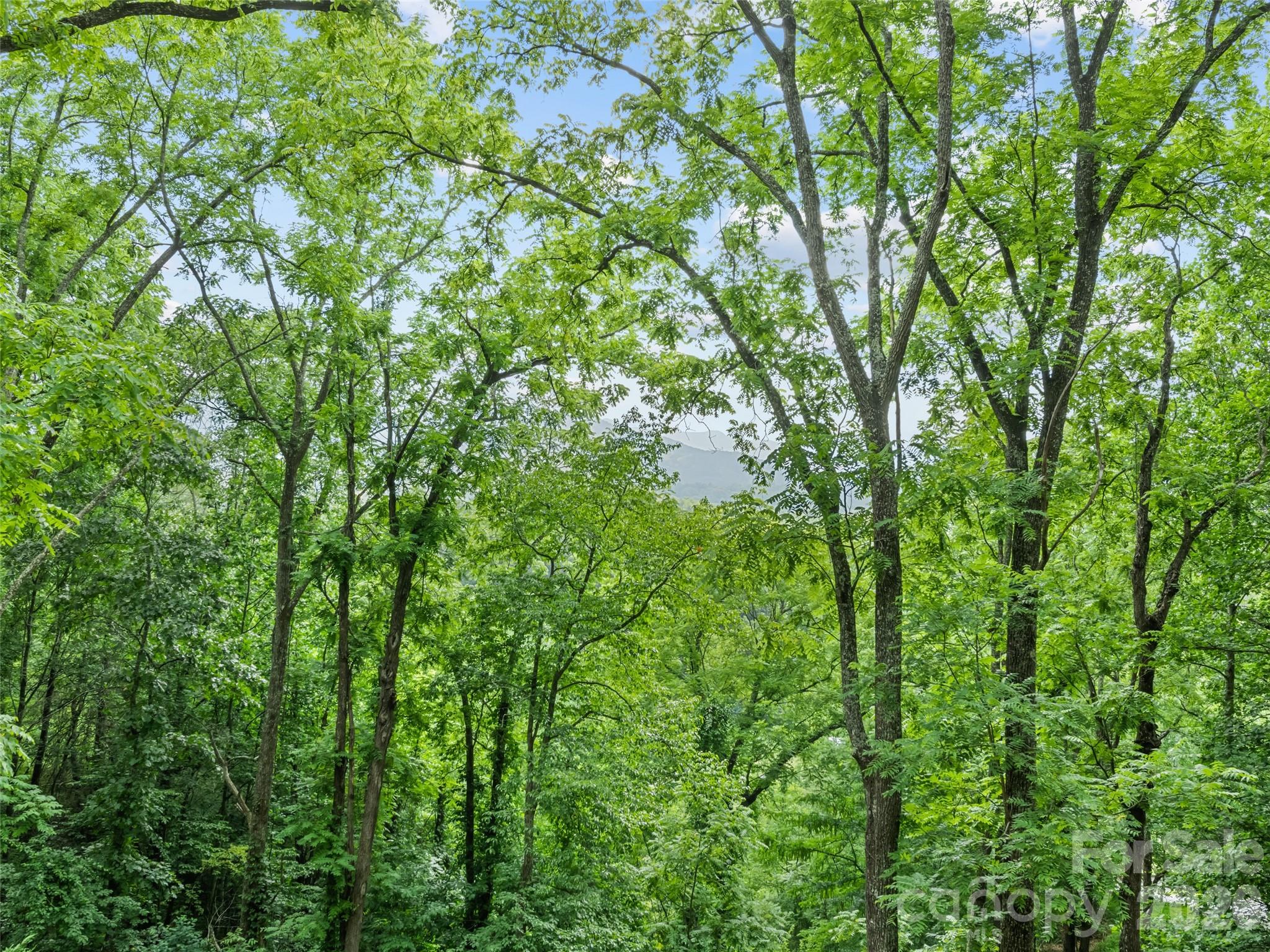 Hiaway Trace - Residential