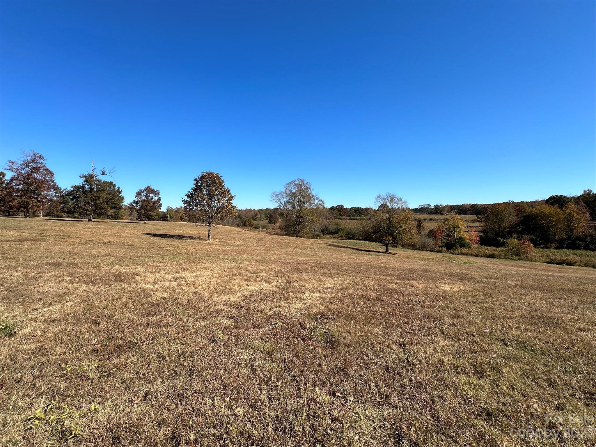 Mountain Meadows - Land