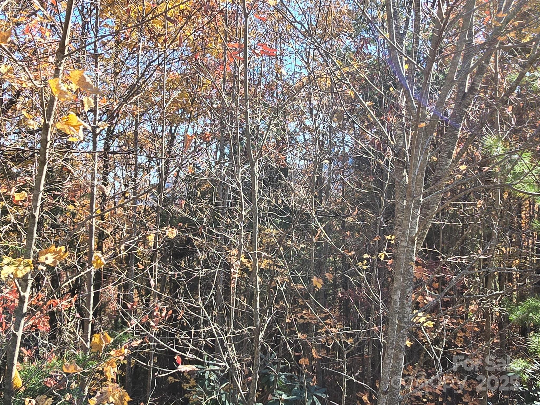Catawba Falls Preserve - Land