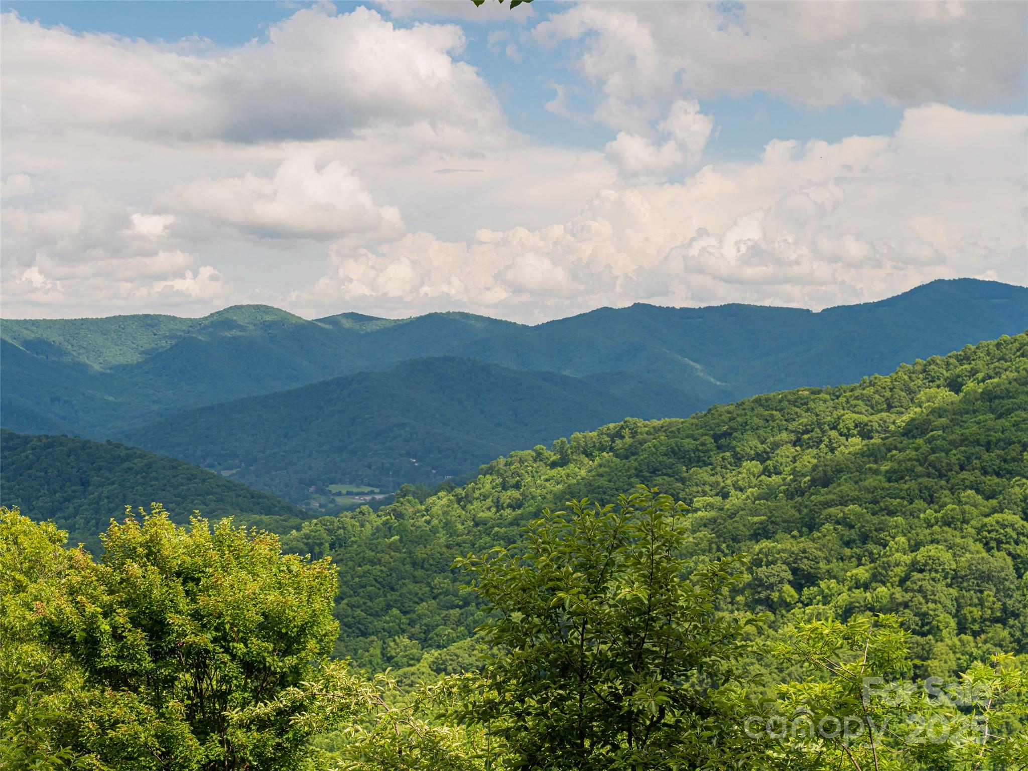 Bluffs At Curtis Creek - Residential