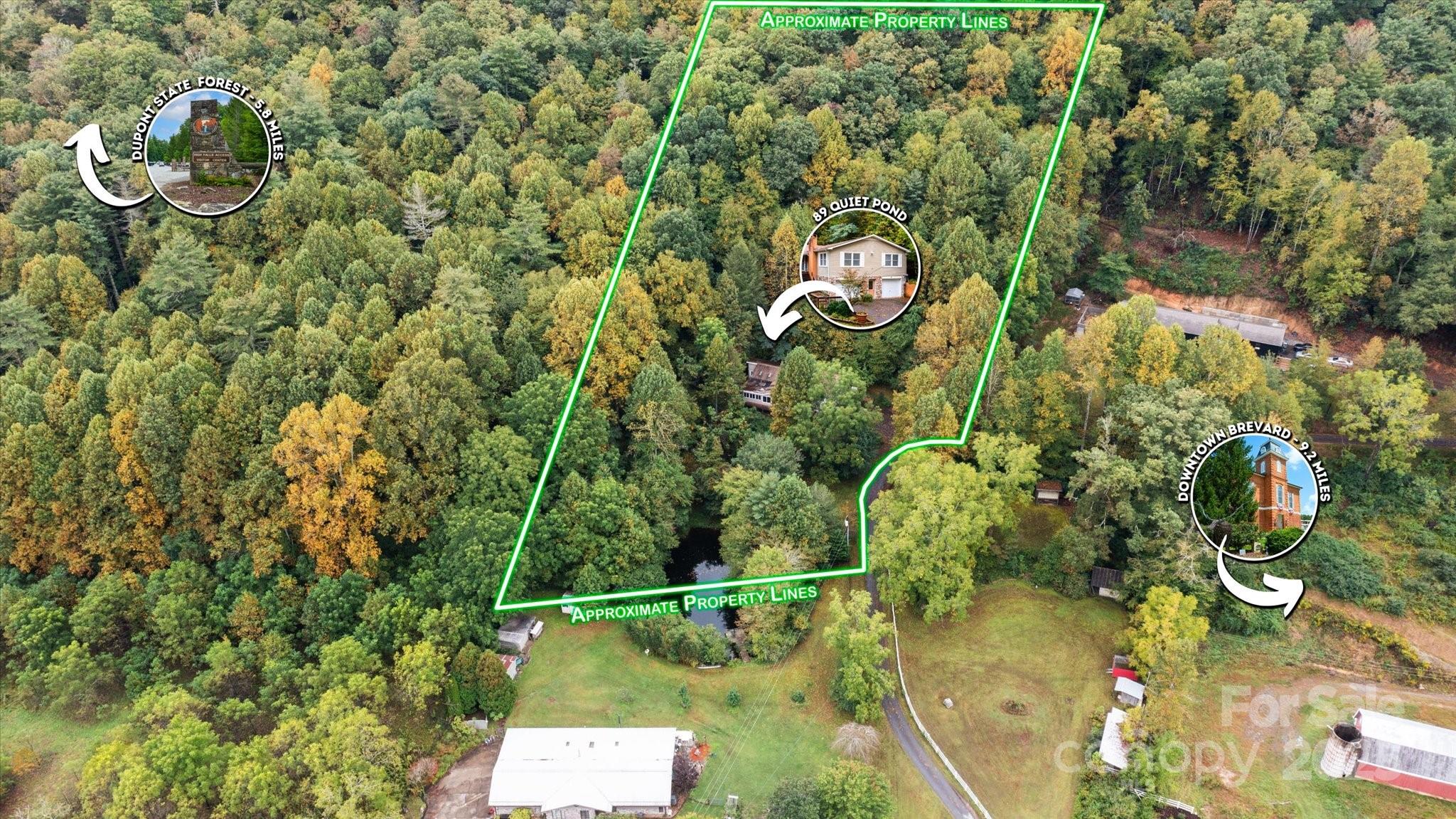 Pisgah Forest Farms - Residential