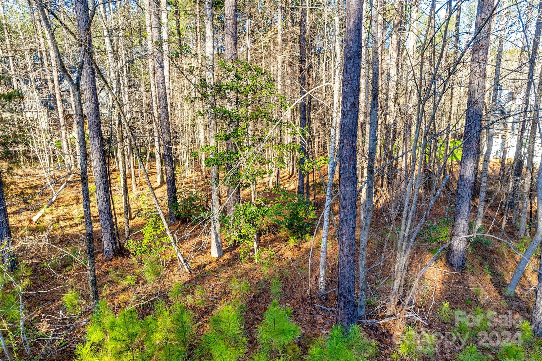 Riverchase Estates - Land