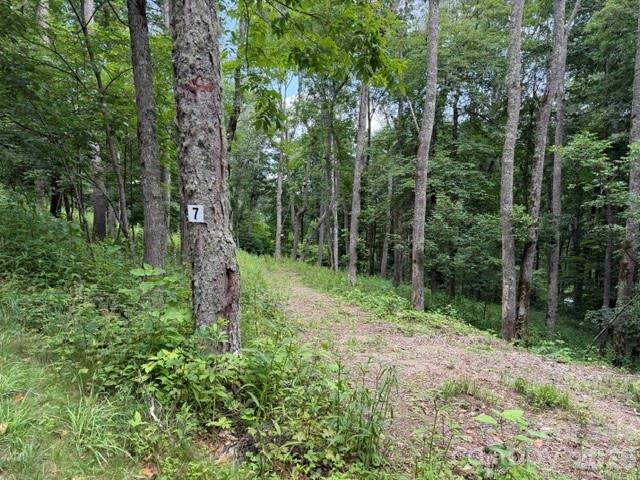 Is there a buildable mountain lot in the Maggie Valley/Waynesville area with gated access, paved roads, underground utilities, and access to year-round recreation? This lot in Smoky Mountain Retreat at Eagles Nest offers a rare opportunity to create a full-time residence, vacation retreat, or investment-minded mountain home in one of the area’s established gated communities. The property is located within the highly sought-after Smoky Mountain Retreat at Eagles Nest, a 1,000-acre gated log home community known for its natural beauty, abundant wildlife, paved roads, and elevated mountain setting that feels tucked inside a national park.

Discover the opportunity to build in Smoky Mountain Retreat at Eagles Nest, a sought-after gated mountain community in Maggie Valley, North Carolina, known for its natural beauty, well-maintained paved roads, underground utilities, and impressive elevations above 4,000 feet. Surrounded by the peaceful scenery of the Smoky Mountains, this community delivers the quiet retreat feel buyers want while keeping everyday conveniences and regional attractions within easy reach.

Located in the mountains of Maggie Valley, this homesite offers convenient access to Waynesville, Cherokee, Asheville, the Blue Ridge Parkway, Great Smoky Mountains National Park, Cataloochee Ski Area, local dining, shopping, hiking, fishing, and four-season mountain recreation. Community amenities include hiking trails and a playground, creating a setting that blends mountain privacy, outdoor enjoyment, and practical convenience.

This particular lot offers great view potential and septic permit already in place, giving future owners the flexibility to plan a mountain property that fits their lifestyle and goals. Whether you are dreaming of a private primary residence, a weekend getaway near outdoor adventure, or a mountain home with long-term investment potential, this Maggie Valley mountain lot provides a chance to secure your place in one of Western North Carolina’s desirable high-elevation communities.

For buyers searching for land in the Maggie Valley/Waynesville area. This unique community offers two gates one closer to Maggie Valley the other closer to Waynesville. If your looking for Smoky Mountain community, or a homesite near Waynesville and the Blue Ridge Parkway, this property offers location, setting, and mountain lifestyle potential in one compelling opportunity.