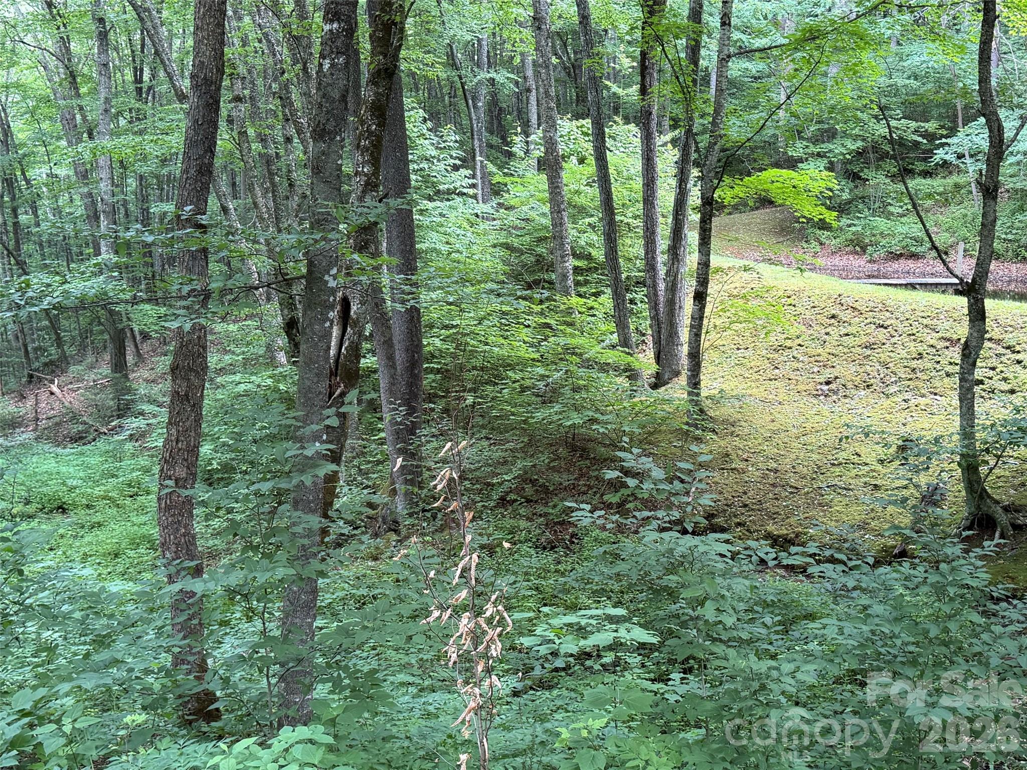 Smoky Mountain Retreat at Eagles Nest - Land