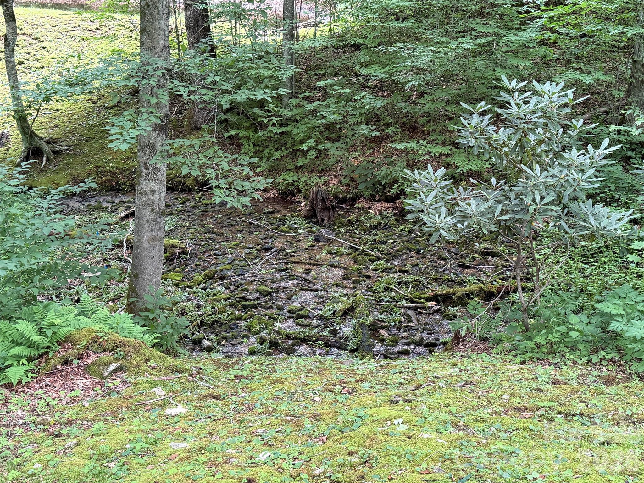 Smoky Mountain Retreat at Eagles Nest - Land