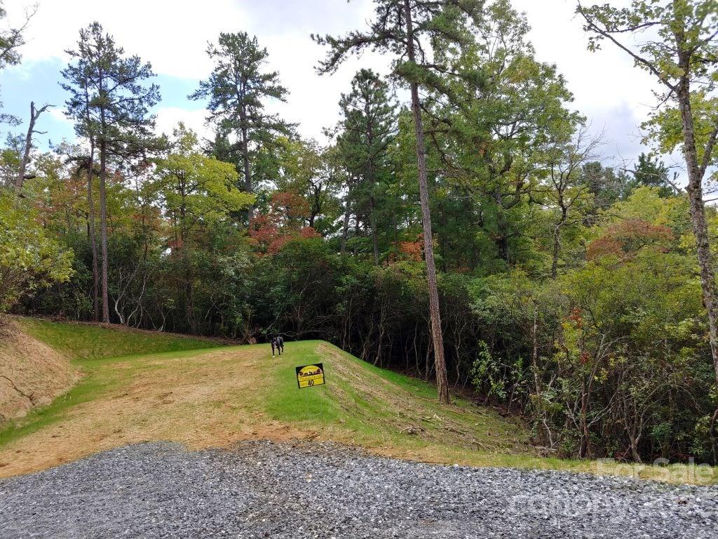 The Settlement at Thomas Divide - Land
