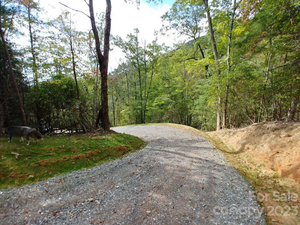 The Settlement at Thomas Divide - Land