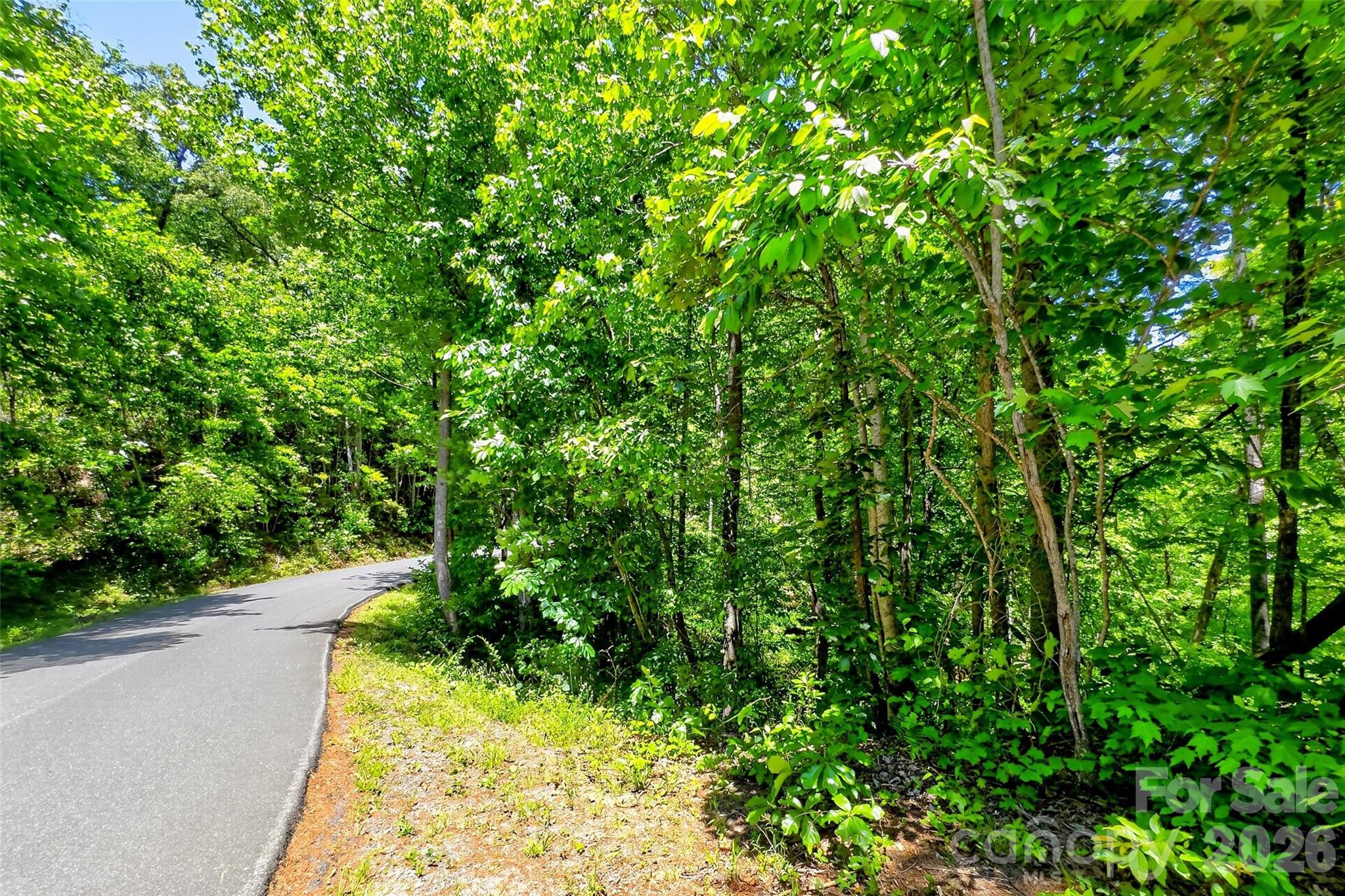 Looking for a place to build your home with light restrictions and no annual dues? Well, here it is! Buy 2 lots for 1 price. Opportunity to own 2 lots totaling 4.76 acres in Lake Lure! Paved road frontage. Gentle building site.  Easy commute to many popular destinations such as Lake Lure Beach, Tryon Equestrian Center, Hendersonville, Black Mountain, Old Fort, Forest City and more. Minimum heated square footage 950, no manufactured or trailers allowed and residential purposes only. Come see it today. Seller is waiting for your offer.