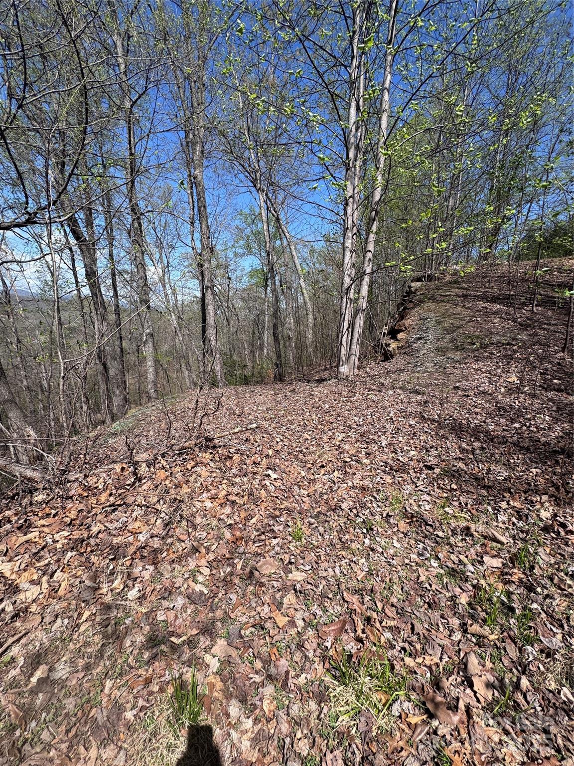 Vista At Bills Mountain - Land