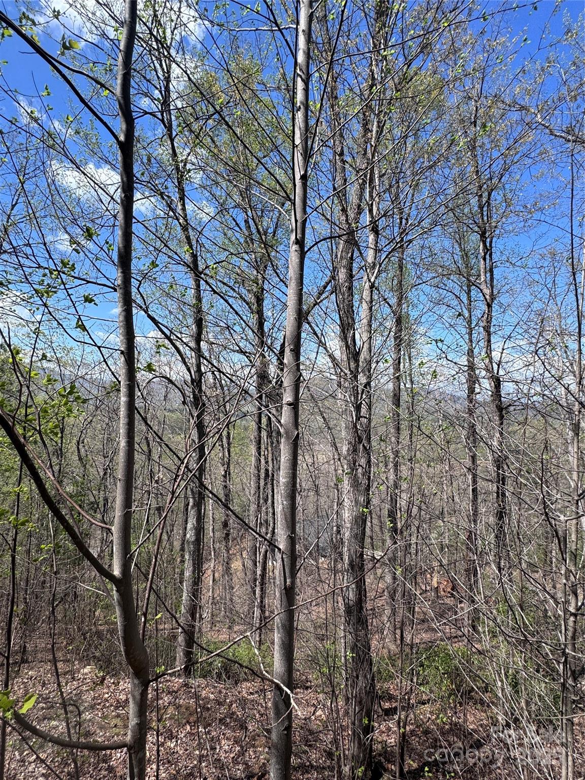 Vista At Bills Mountain - Land