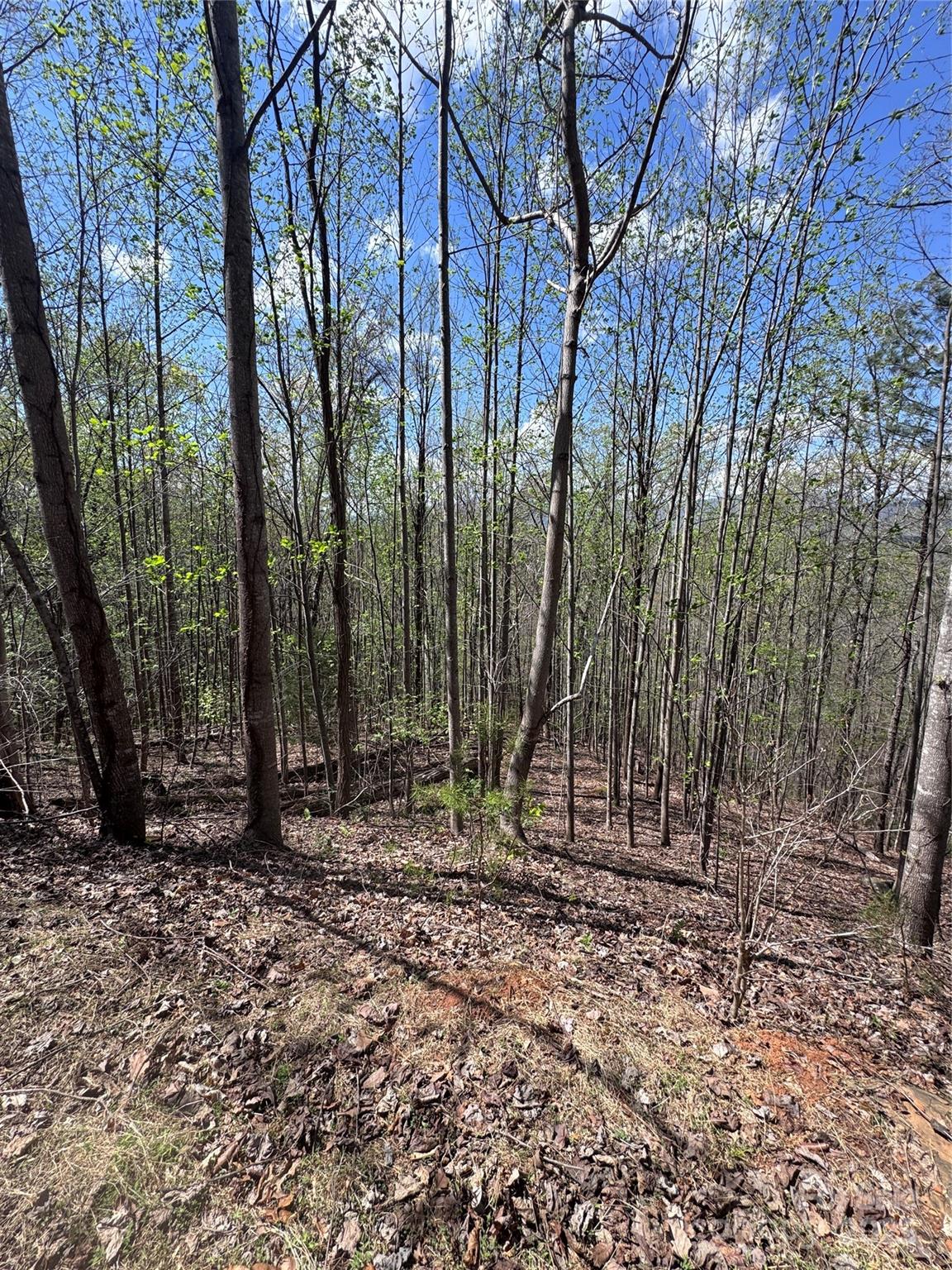 Vista At Bills Mountain - Land