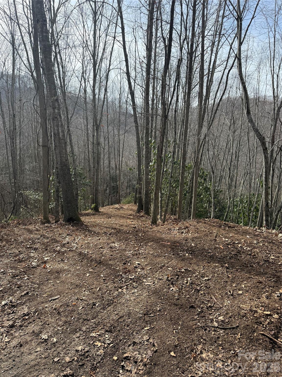 Nestled in the heart of nature, this lot offers the perfect blend of serenity and tranquility. The property boasts gentle topography with gorgeous views of the woods. Just out your door, you have access to miles of trails that lead you down to Balsam's private camp ground. This homestead sits just below 3,500 feet in elevation, making it a wonderful escape from the summer heat. Balsam Mountain Preserve is a private 4,400-acre club community with 3,200 acres of conservation land and completed amenities featuring golf, equestrian, scenic trails, tennis and dining. The stunning new facilities at Doubletop Village, including the Summit House Restaurant and Mine Tavern, are now open to members and their guests.