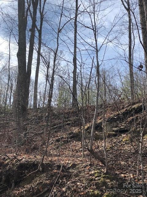 Nice lot with privacy and lays well for house place on the top of Lace Falls Community. Great spot with potential for views and lots of room on this oversized lot