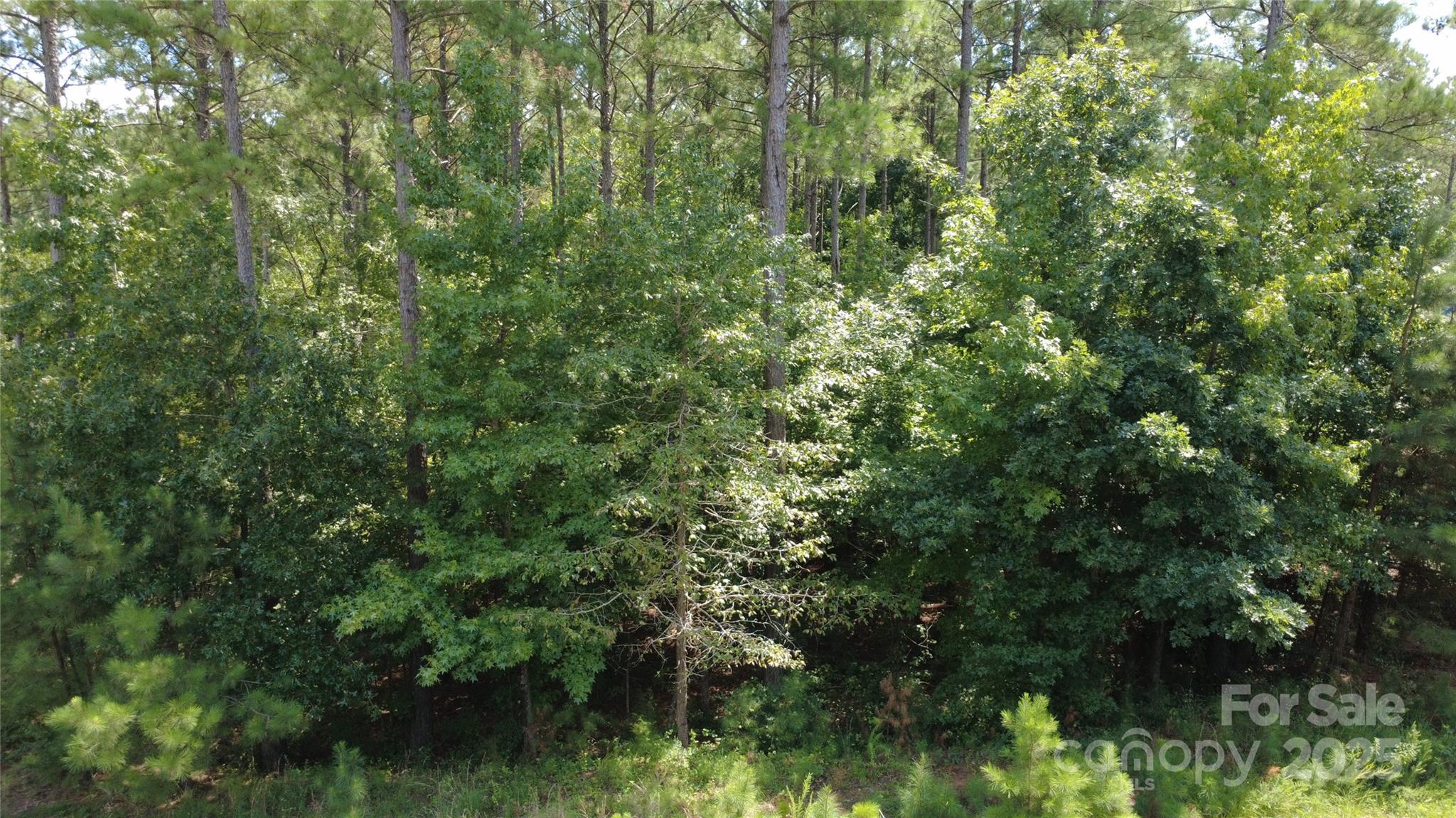 Riverchase Estates - Land