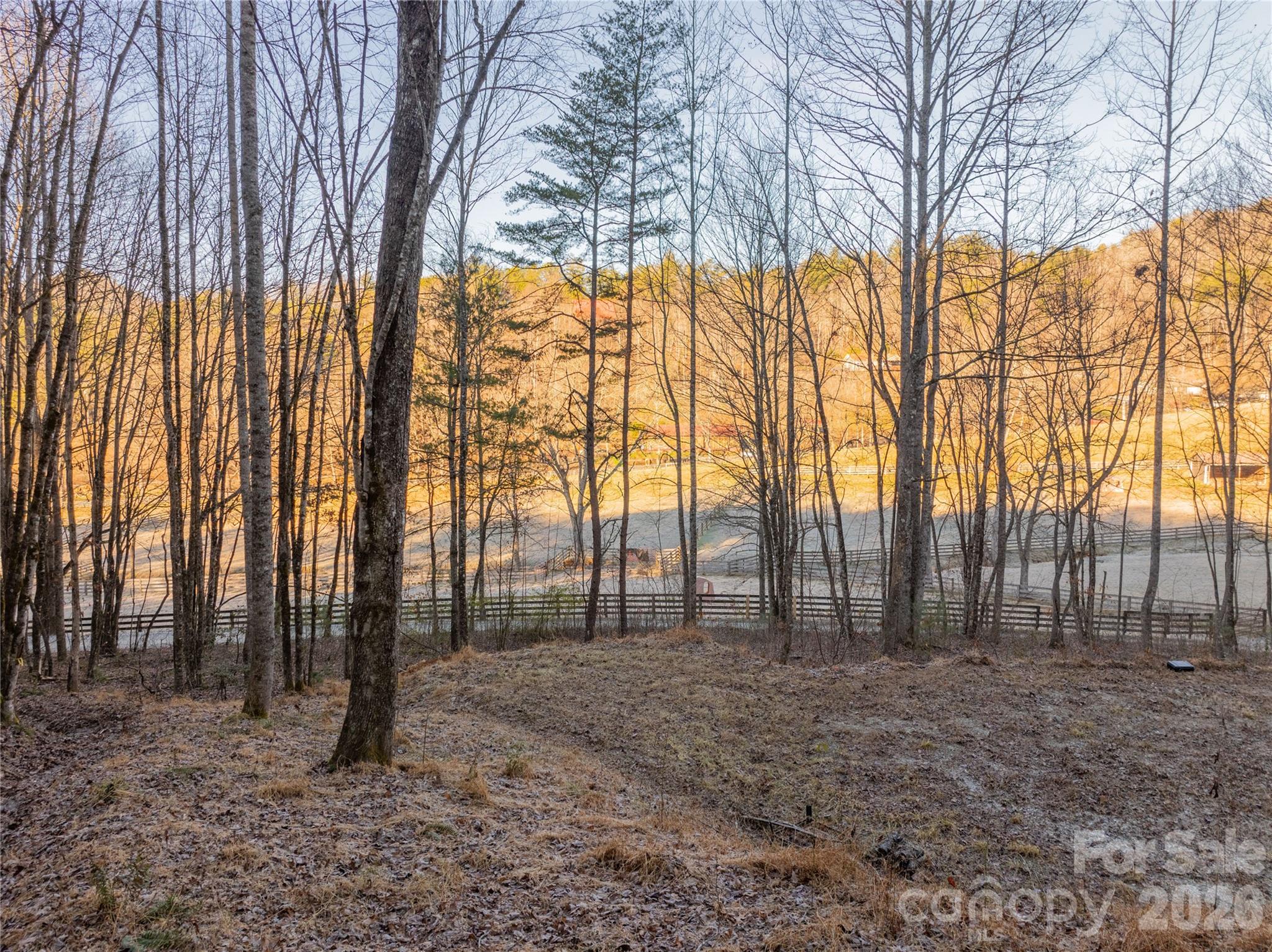 The Settlement at Thomas Divide - Land
