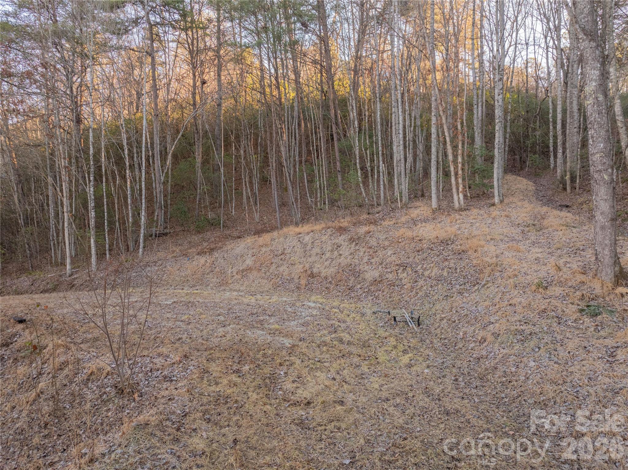 The Settlement at Thomas Divide - Land