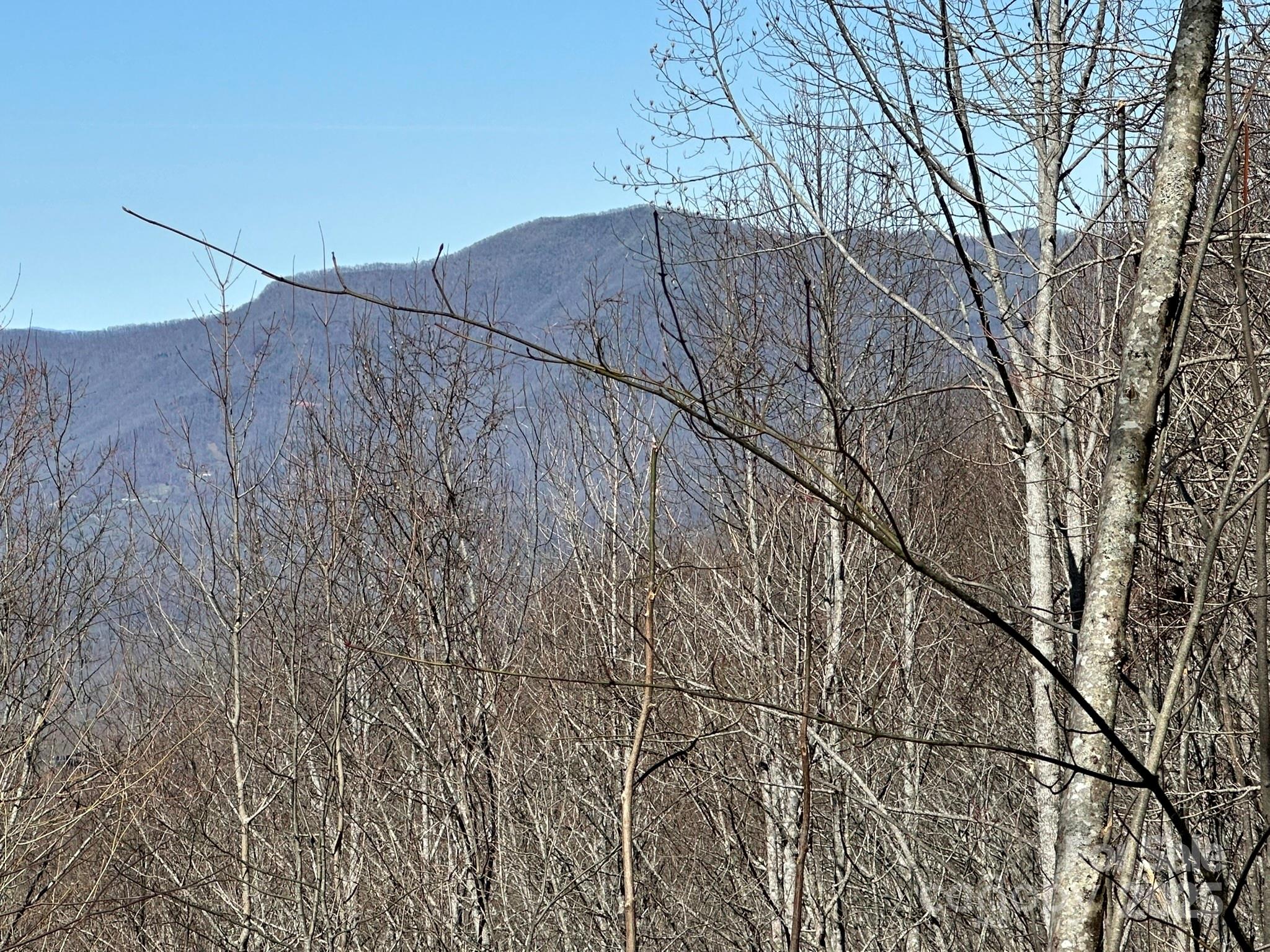 Balsam Mountain Preserve - Land