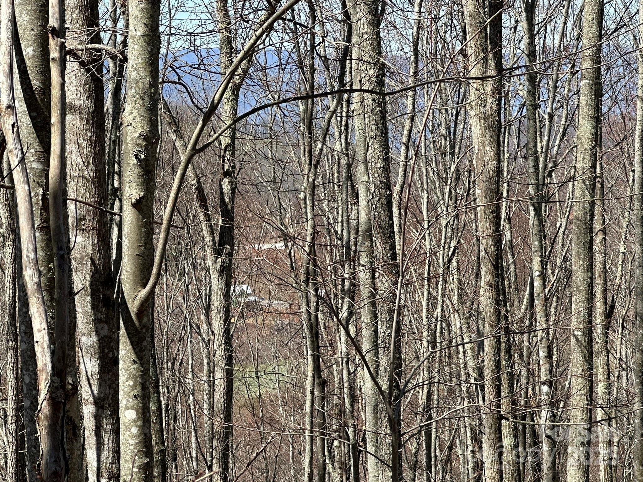 This beautiful large private lot offers mountain vistas in every direction, seasonal golf course views and easy access to Balsam's first-class amenities. This quiet oasis will provide many an evening of sweet relaxation and serenity watching the sunset. Balsam Mountain Preserve is a private 4,400-acre club community with 3,200 acres of conservation land and completed amenities including an Arnold Palmer golf course, The Summit House and Mine Tavern restaurants, wellness and equestrian centers and over 40 miles of hiking trails.