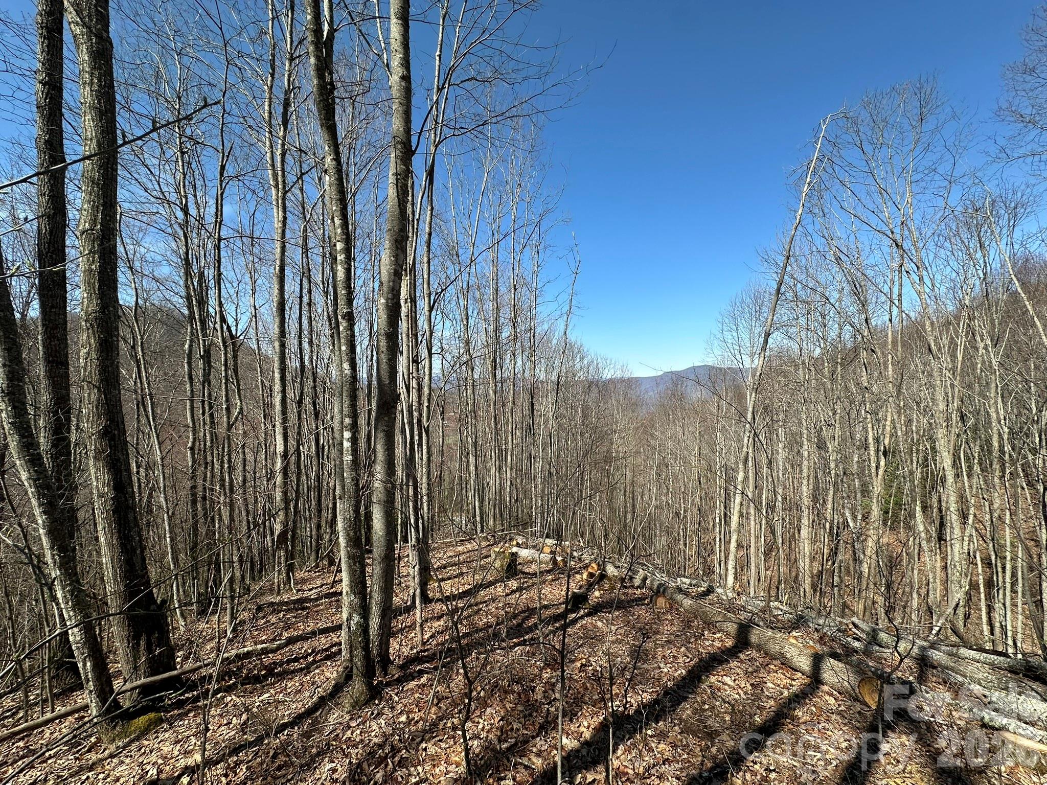 Balsam Mountain Preserve - Land