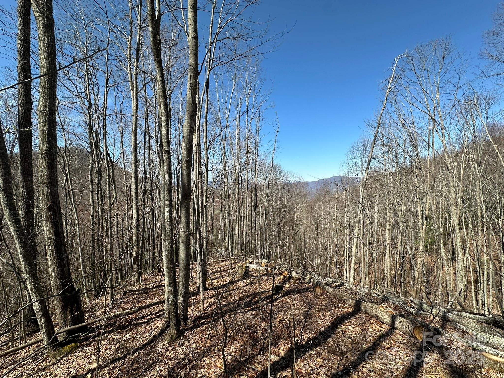 Balsam Mountain Preserve - Land