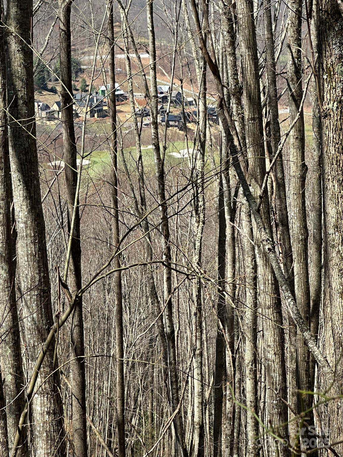 Balsam Mountain Preserve - Land