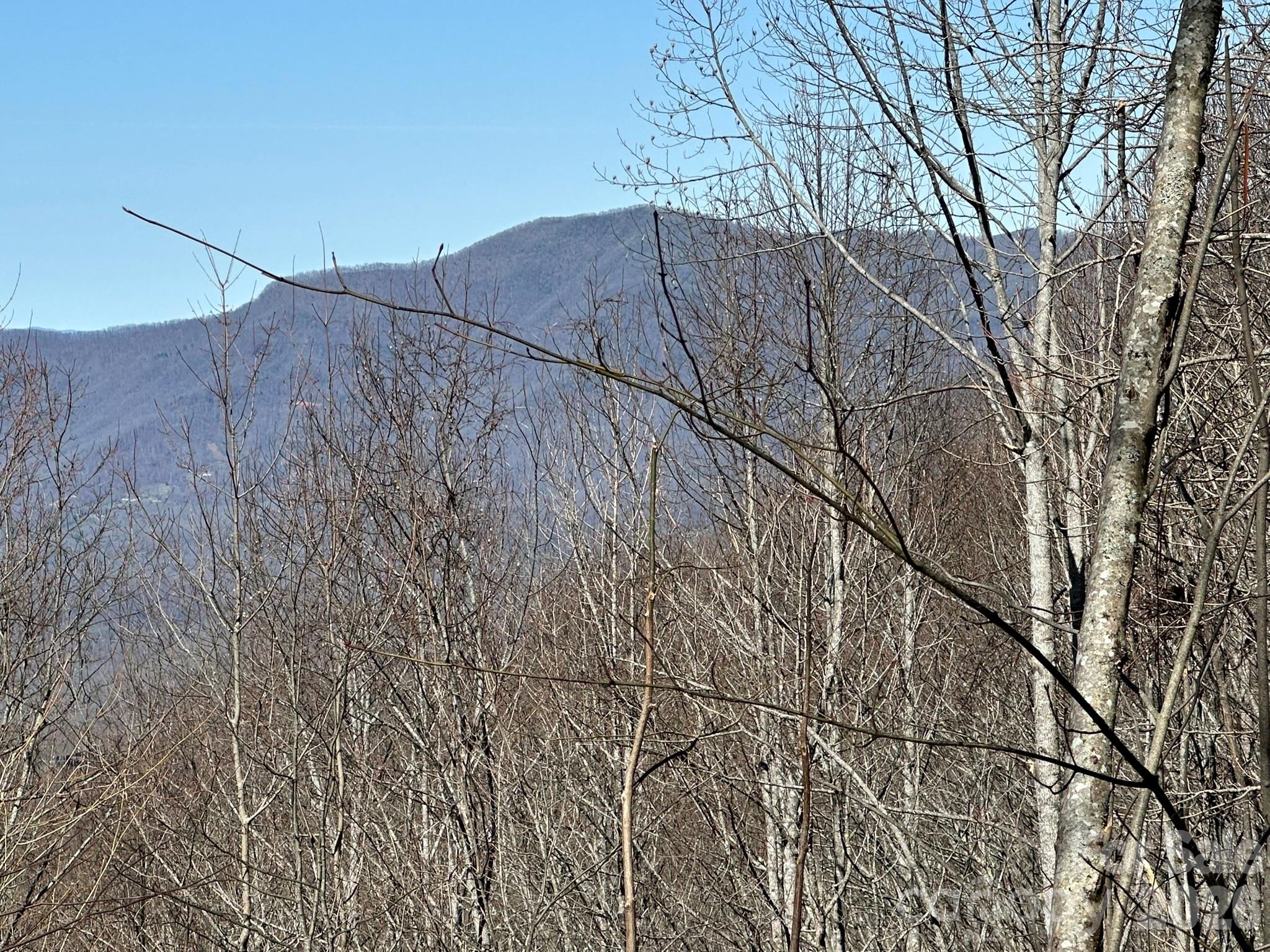 This beautiful large private lot offers mountain vistas in every direction, seasonal golf course views and easy access to Balsam's first-class amenities. This quiet oasis will provide many an evening of sweet relaxation and serenity watching the sunset. Balsam Mountain Preserve is a private 4,400-acre club community with 3,200 acres of conservation land and completed amenities including an Arnold Palmer golf course, The Summit House and Mine Tavern restaurants, wellness and equestrian centers and over 40 miles of hiking trails.