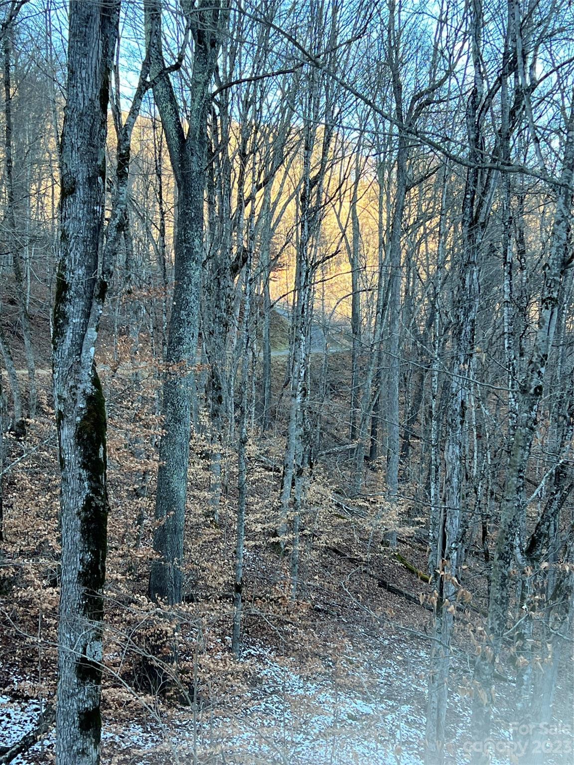 Wolf Laurel - Land