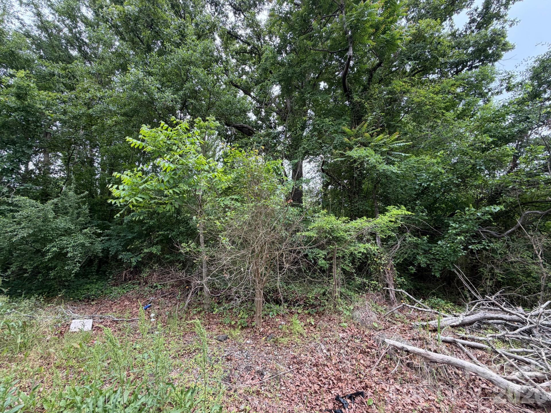 +/- 0.68 acre vacant lot ready for your vision. Plenty of space to build with flexibility for a variety of home styles. Great opportunity in a convenient location.