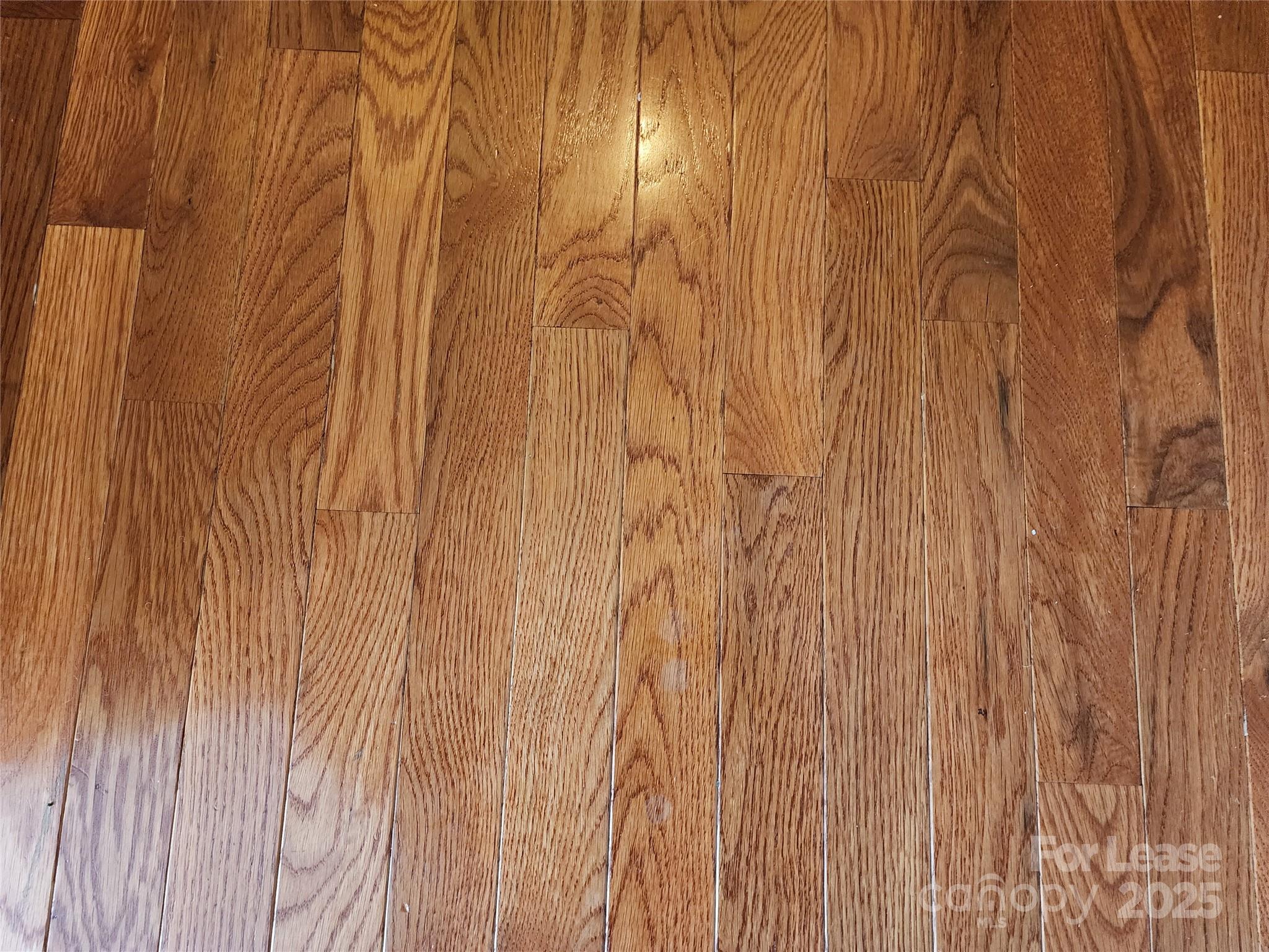 Carmel Forest - Residential Lease