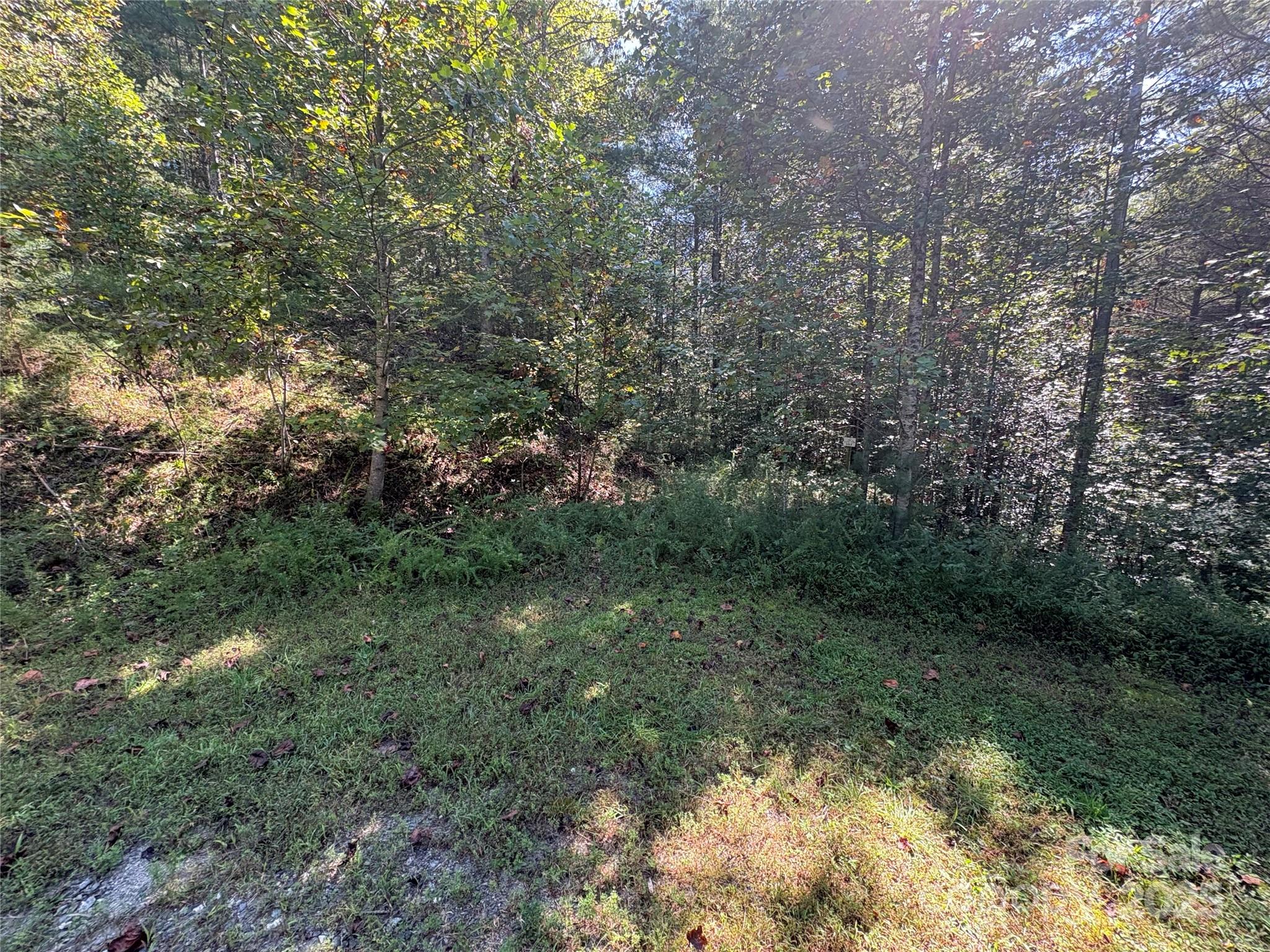 The Bluffs of Wilson Creek - Land