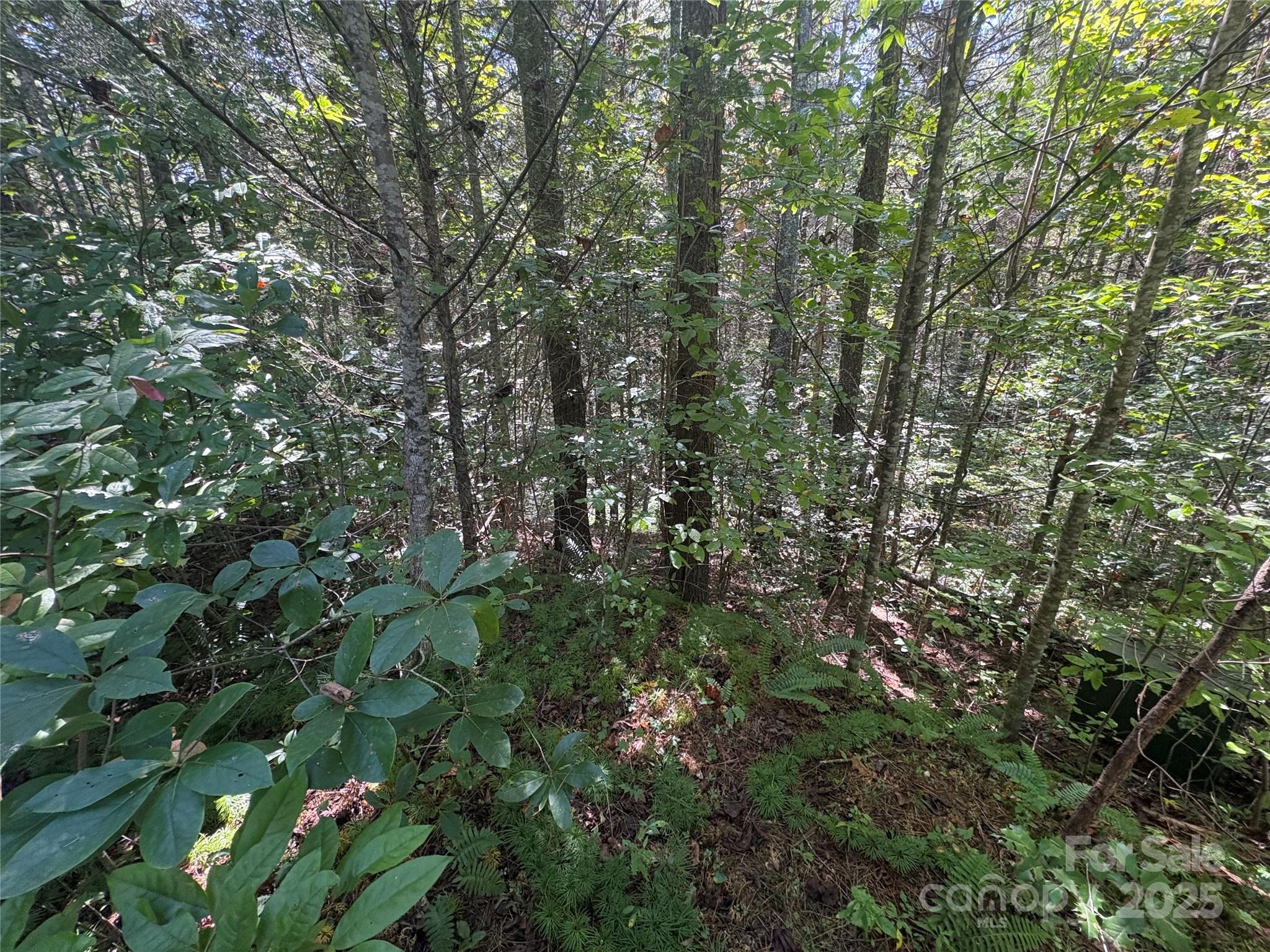 The Bluffs of Wilson Creek - Land