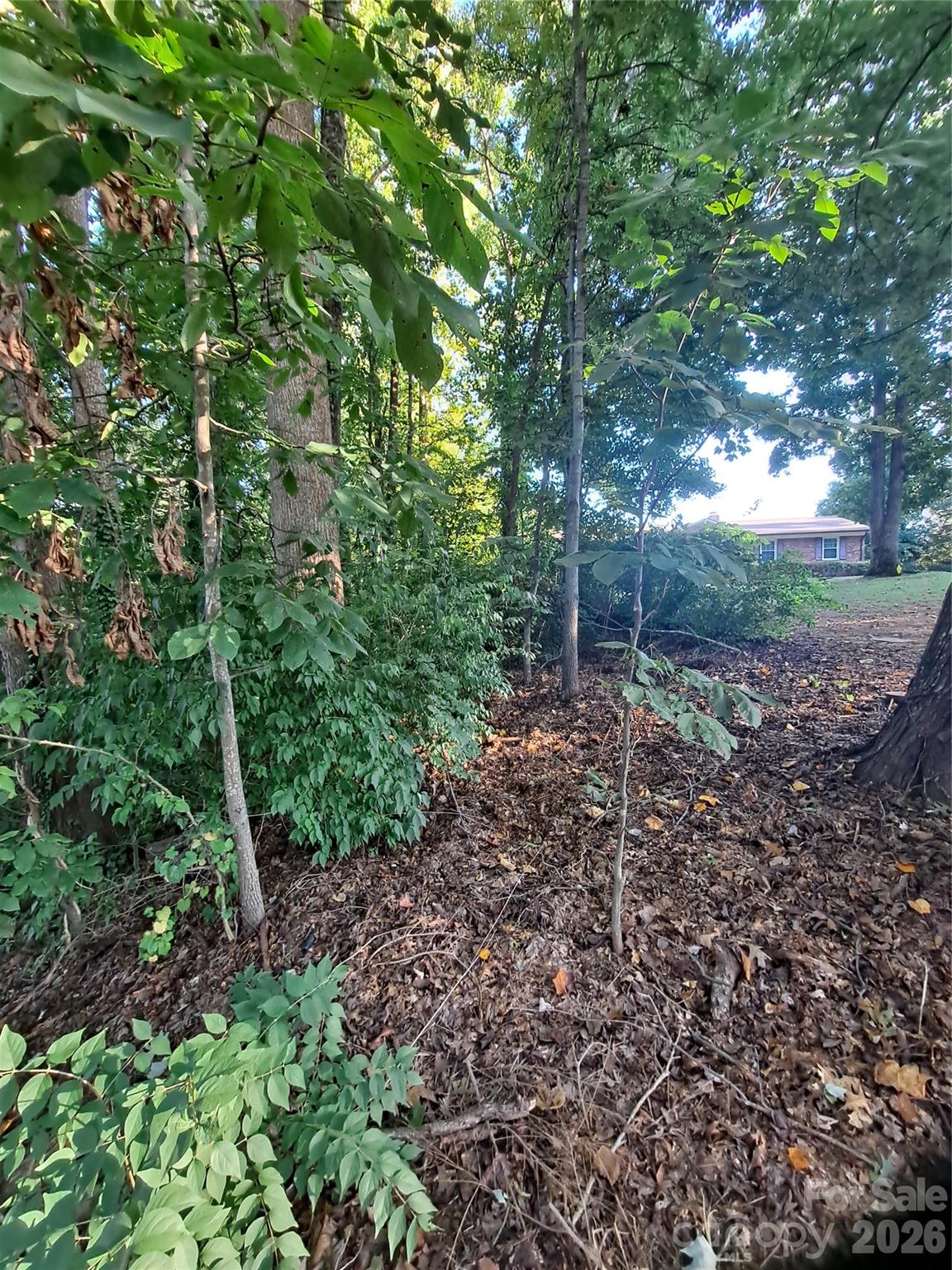 Woodridge - Land