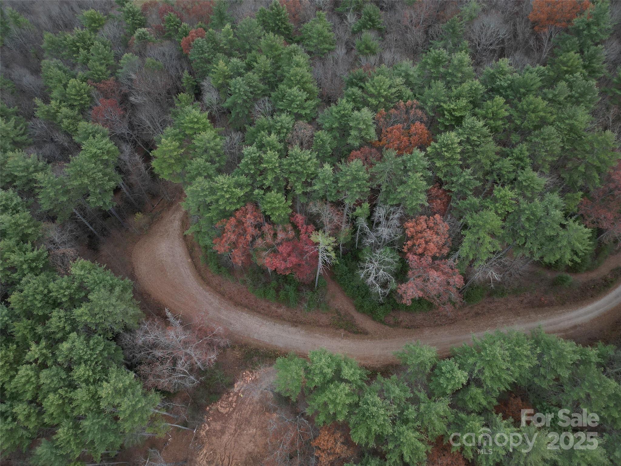 Nestled in a serene, wooded setting, this beautifully buildable parcel offers the perfect blend of privacy and community. Located at the end of a quiet cul-de-sac in a new, soon-to-be gated and paved neighborhood, this lot is ideal for your dream home. Enjoy peaceful surroundings with access to walking trails and natural beauty throughout. With mature trees and a gentle topography, this lot is ready for your custom build. A rare opportunity to own in a tranquil, thoughtfully designed community focused on nature, privacy, and connection. Choice lots are available, act today!
