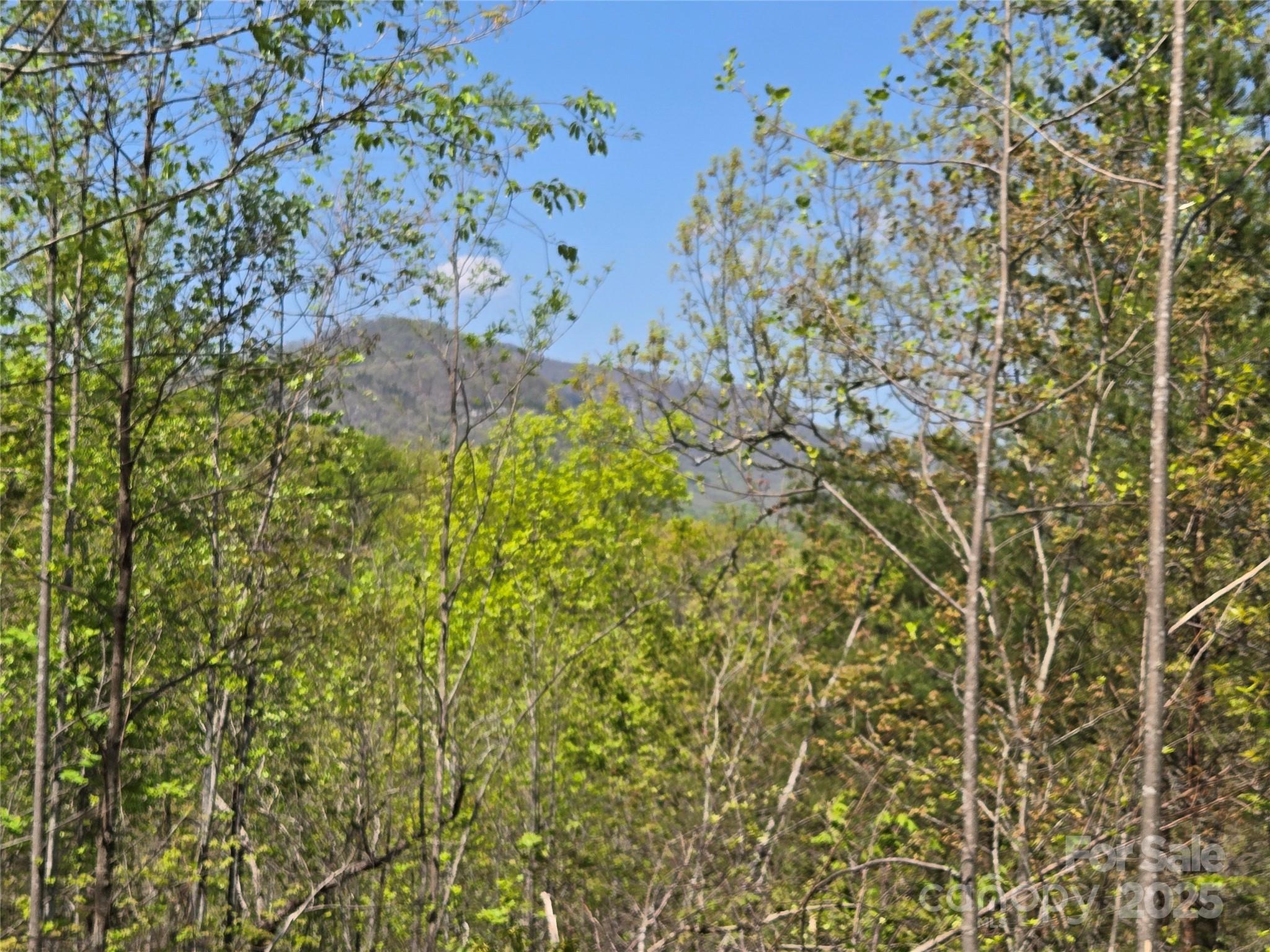 Rumbling Bald on Lake Lure - Land