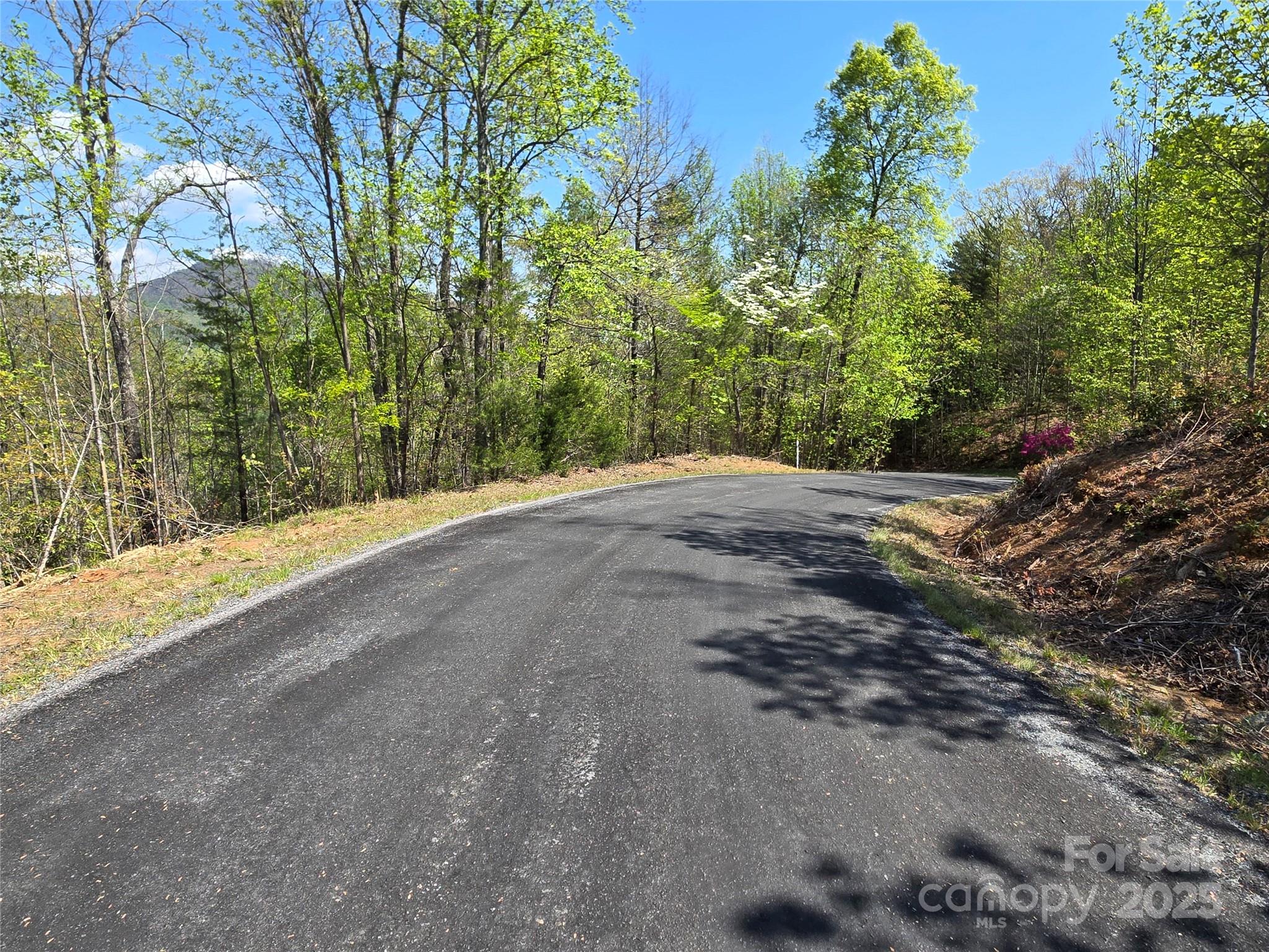 Rumbling Bald on Lake Lure - Land