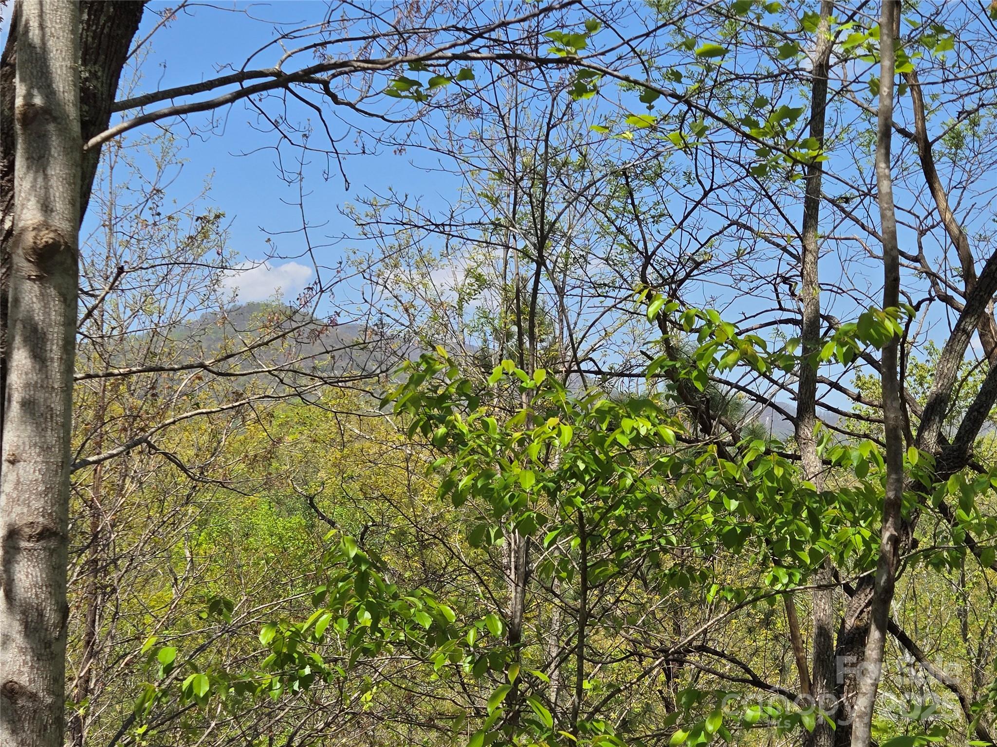 Rumbling Bald on Lake Lure - Land