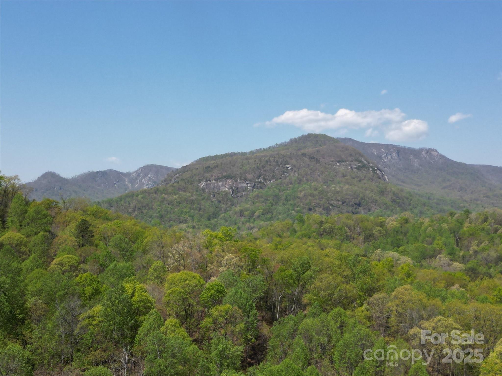 Rumbling Bald on Lake Lure - Land