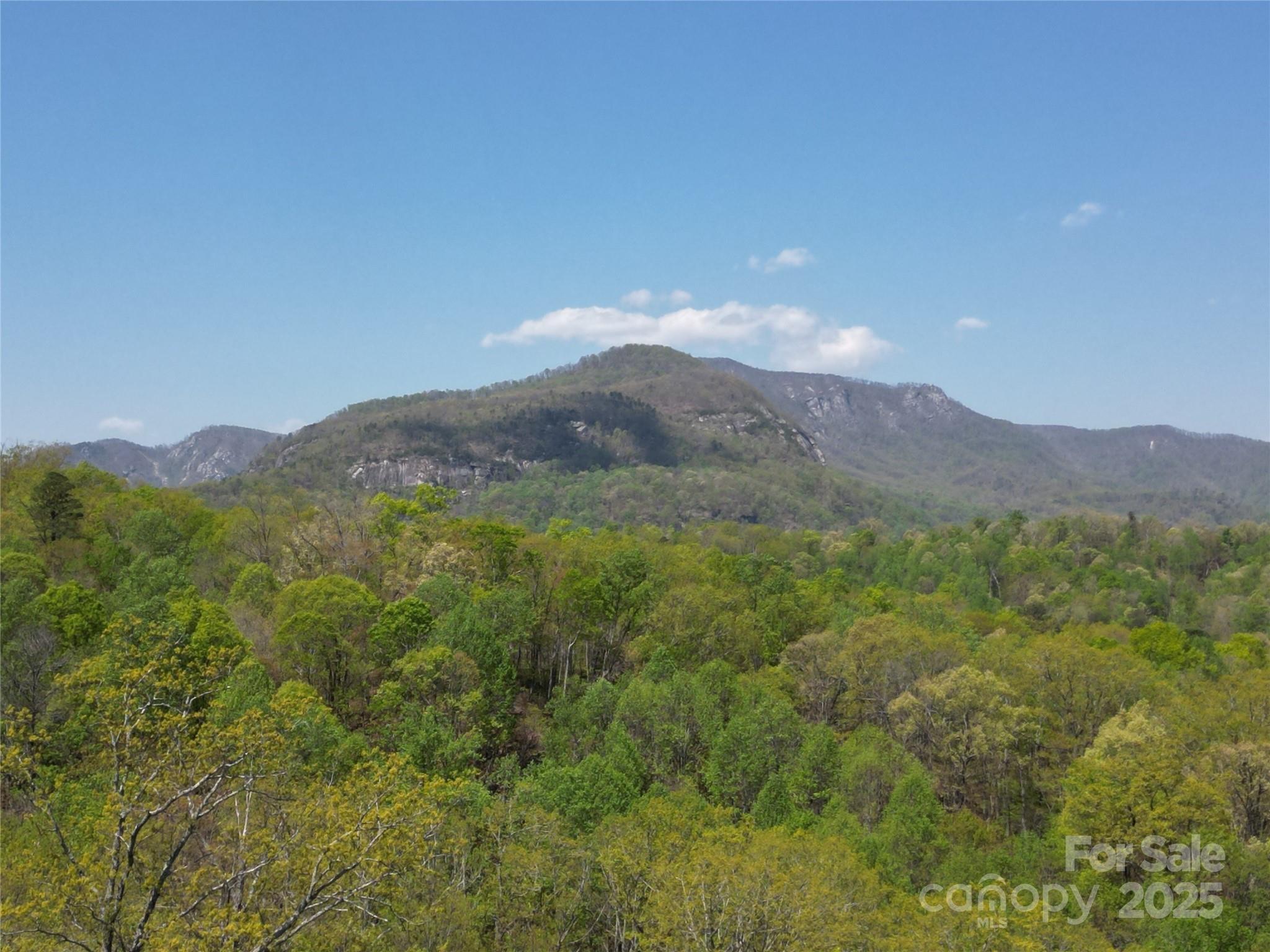 Rumbling Bald on Lake Lure - Land