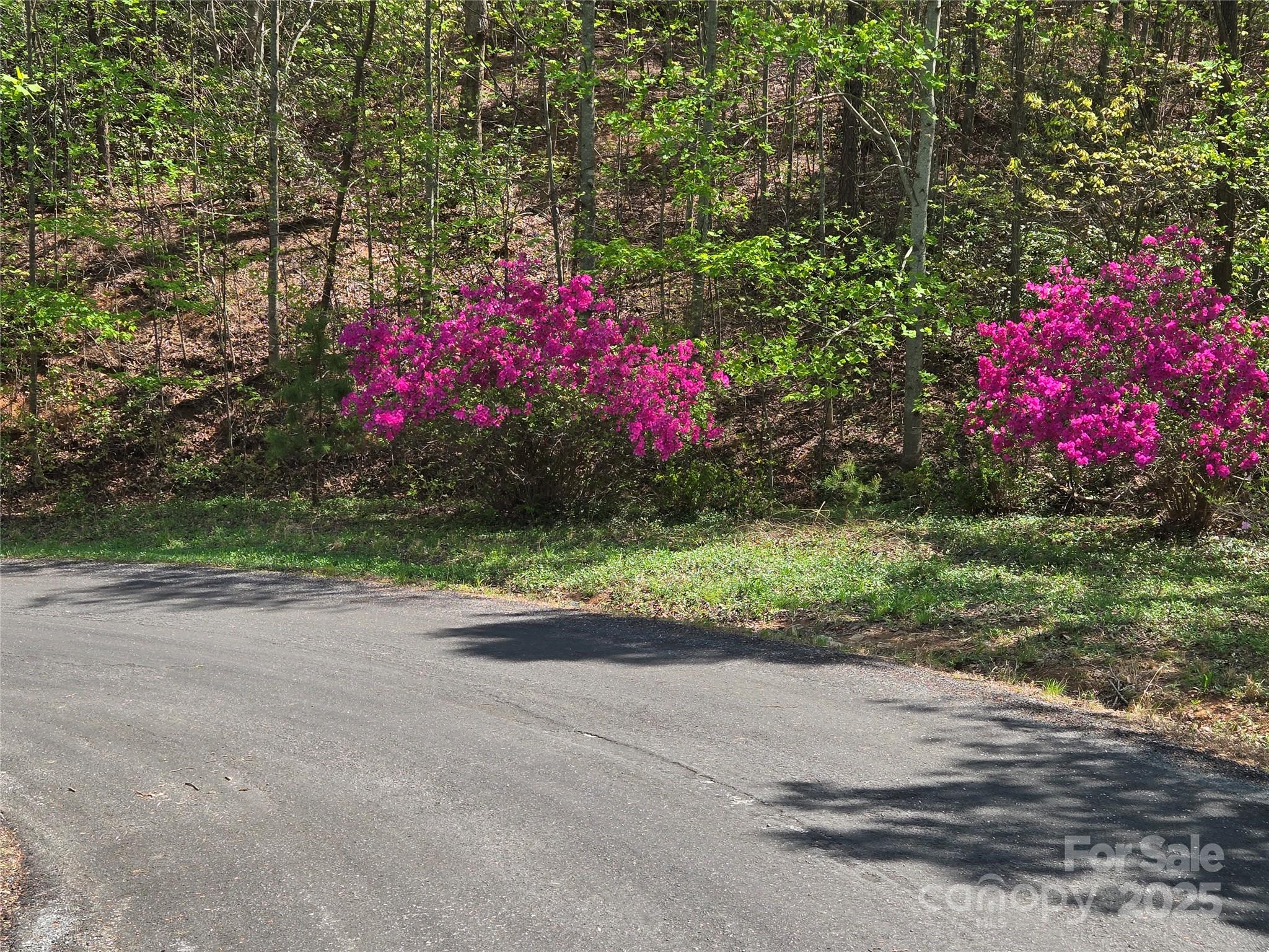 Rumbling Bald on Lake Lure - Land