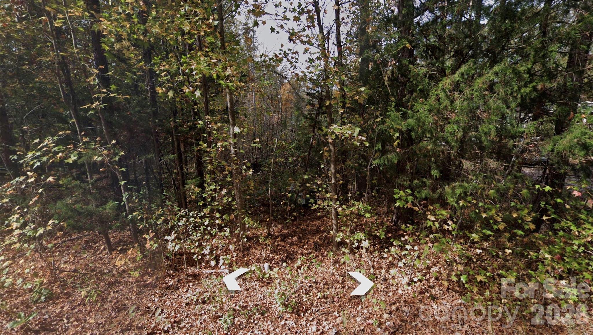 Smith Woods - Land