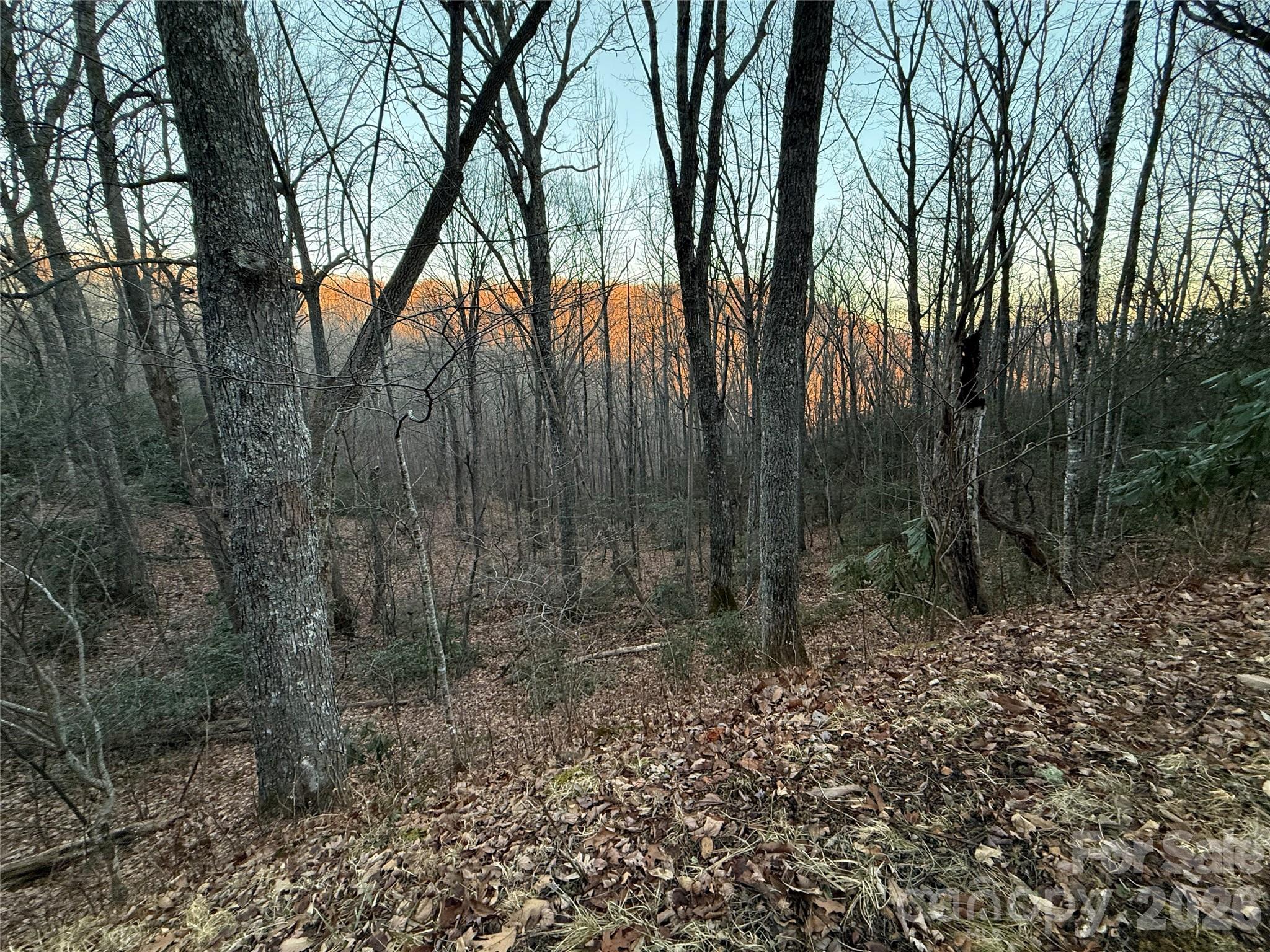 Cherry Hill Est - Land