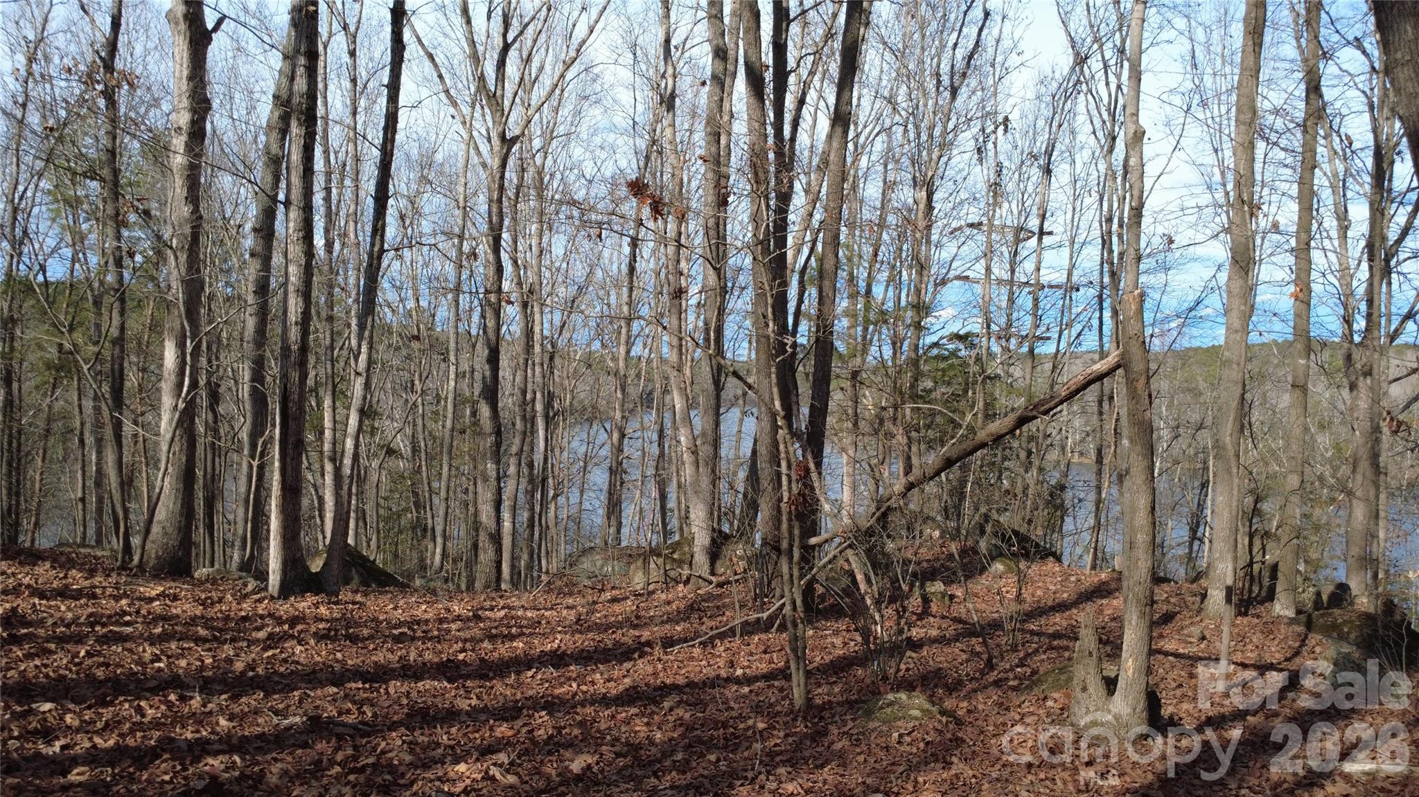 Debutary Pointe - Land